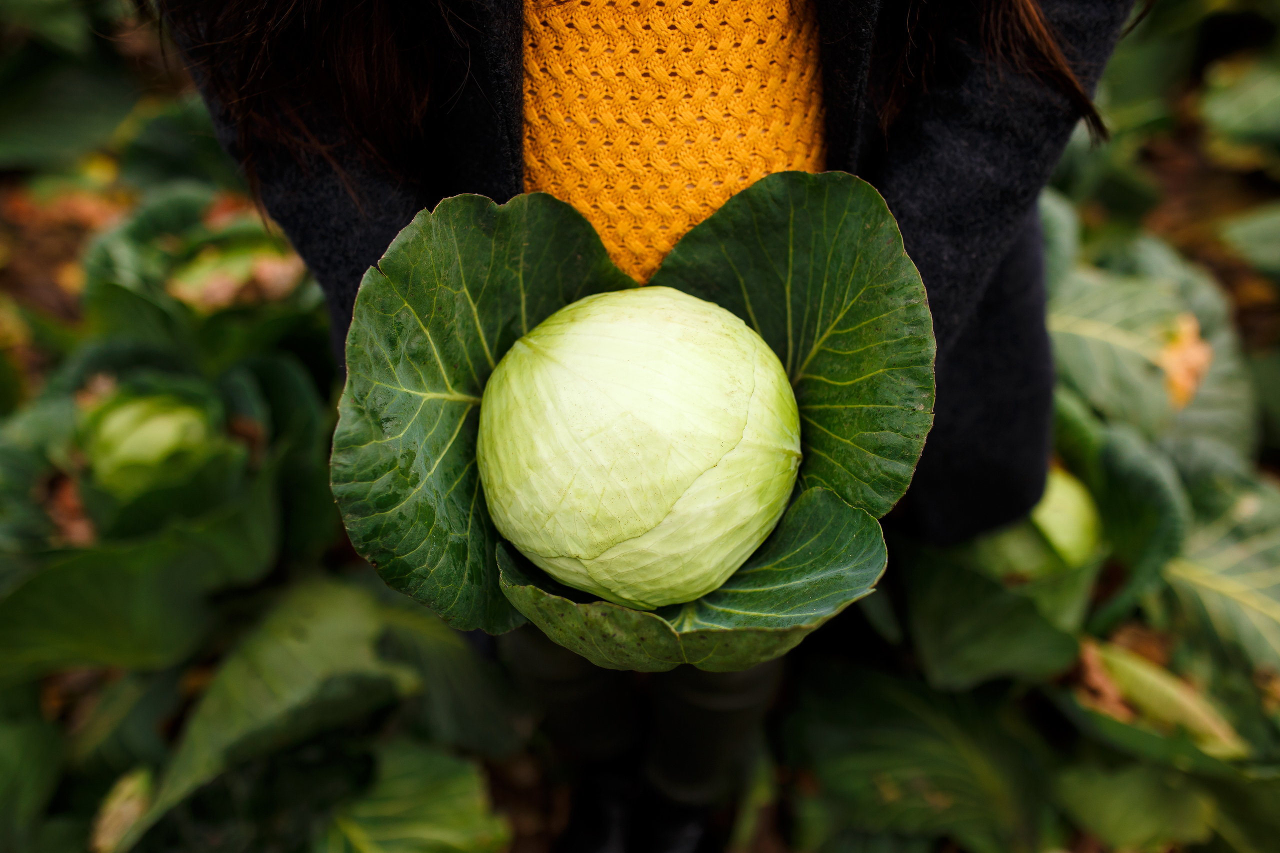 Беременная съёмка для Наташи. Свадебный и семейный фотограф Витебск, Минск, Андрей Павлов