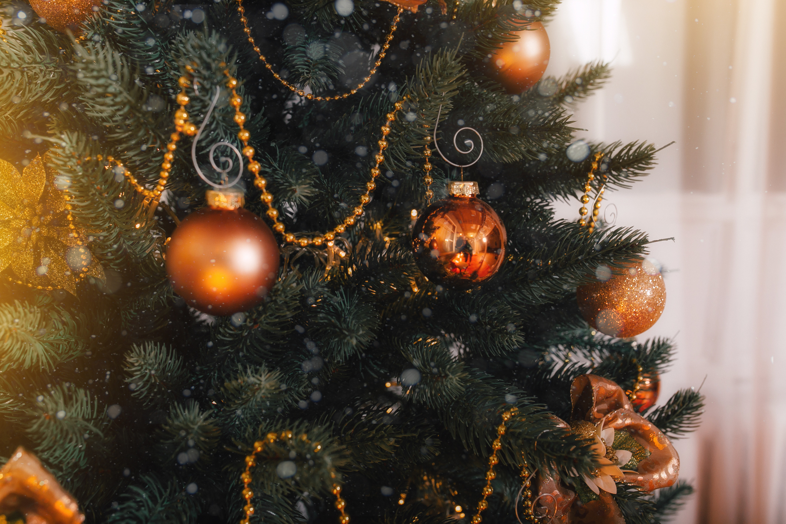 Новогодняя съёмка маленькой Евы и её мамы. Свадебный и семейный фотограф Витебск, Минск, Андрей Павлов