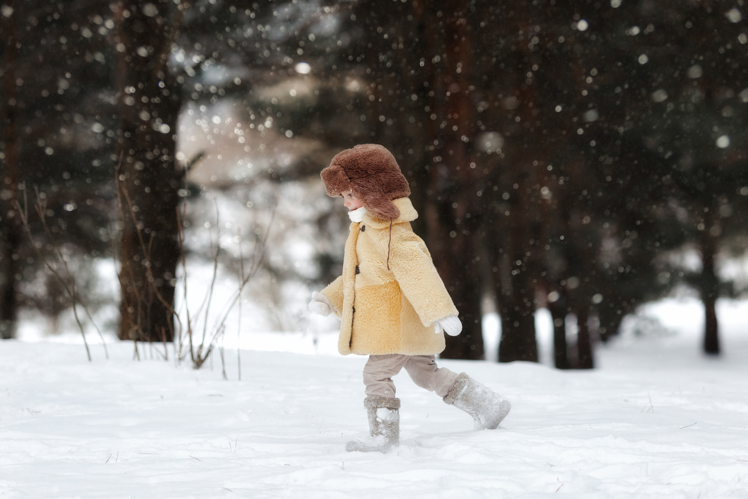 Янчик и его санки. Свадебный и семейный фотограф Витебск, Минск, Андрей Павлов
