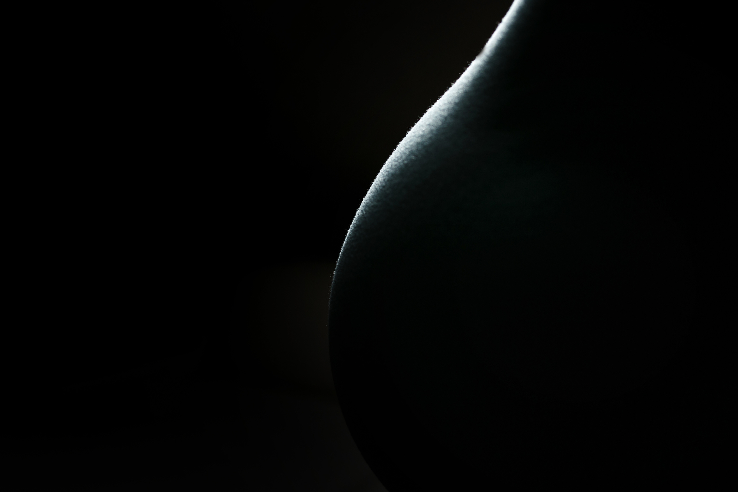 Юля. Свадебный и семейный фотограф Витебск, Минск, Андрей Павлов