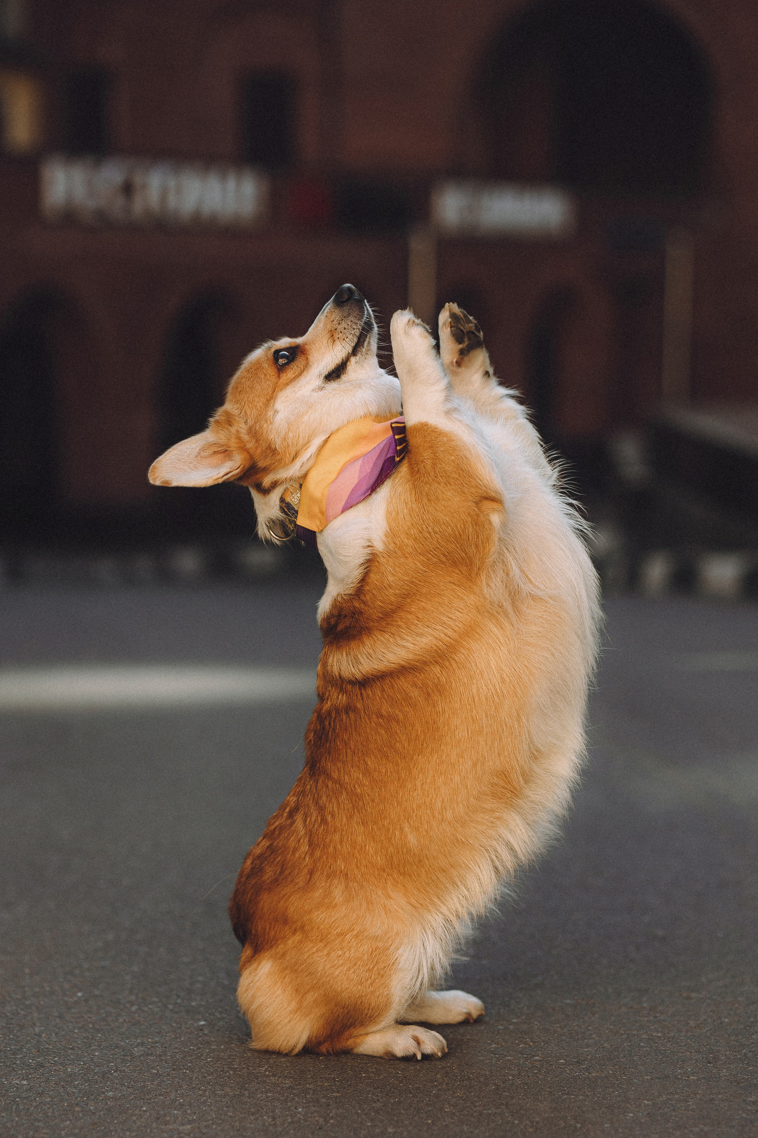 Вика и Мейзи