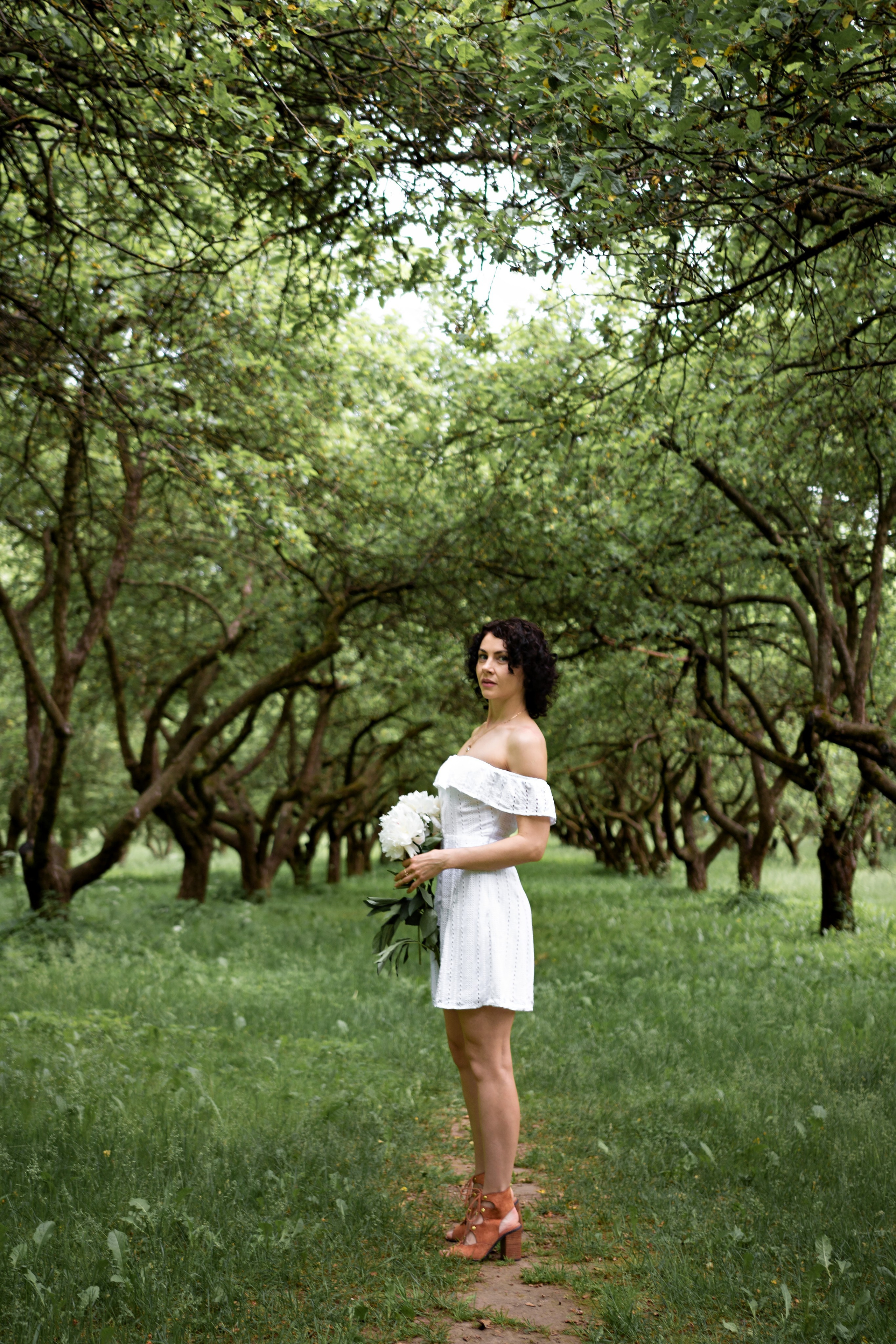 Зелёная симфония