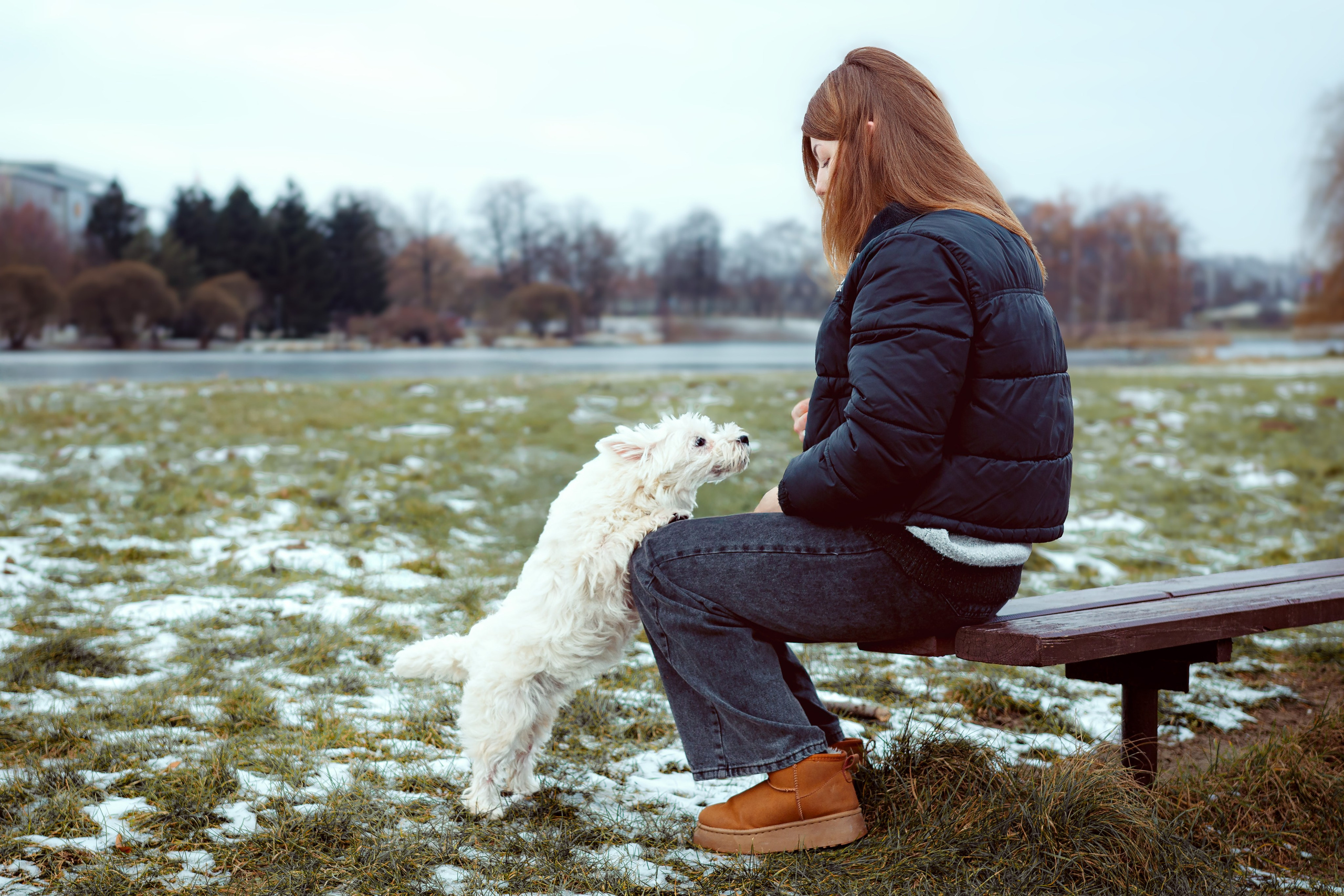 Фотосессия с щенком Минск