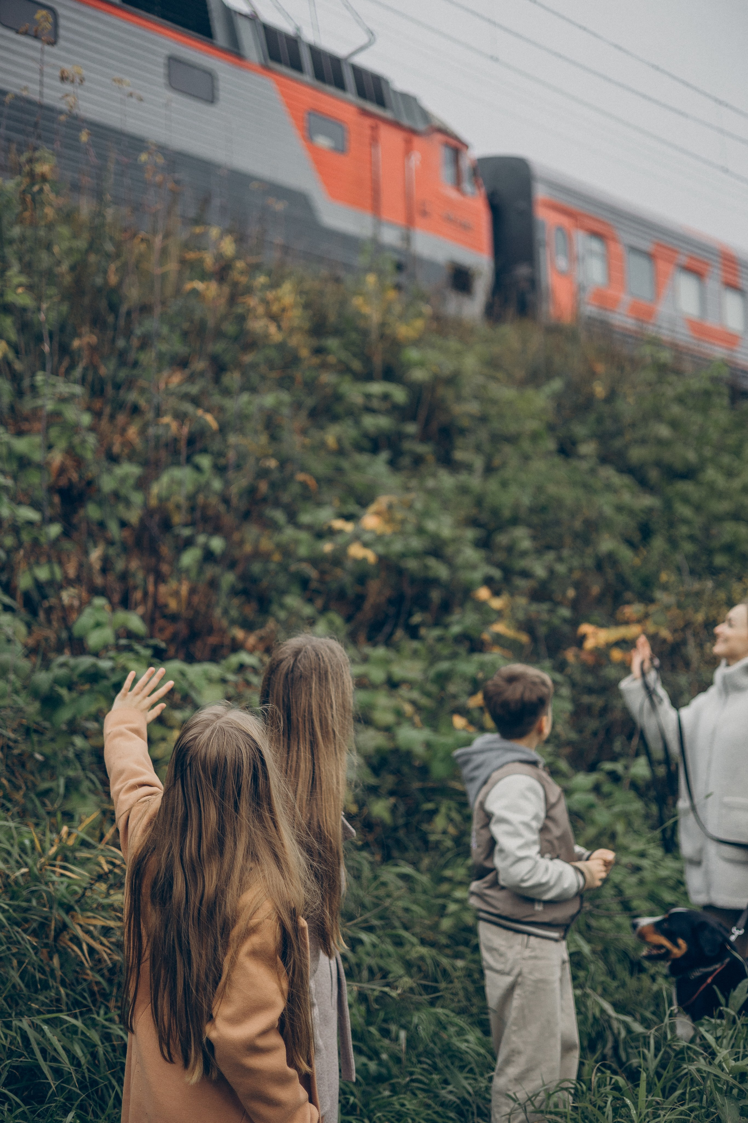 Осенняя прогулка. Фотограф в Москве Наталья Спиридонова
