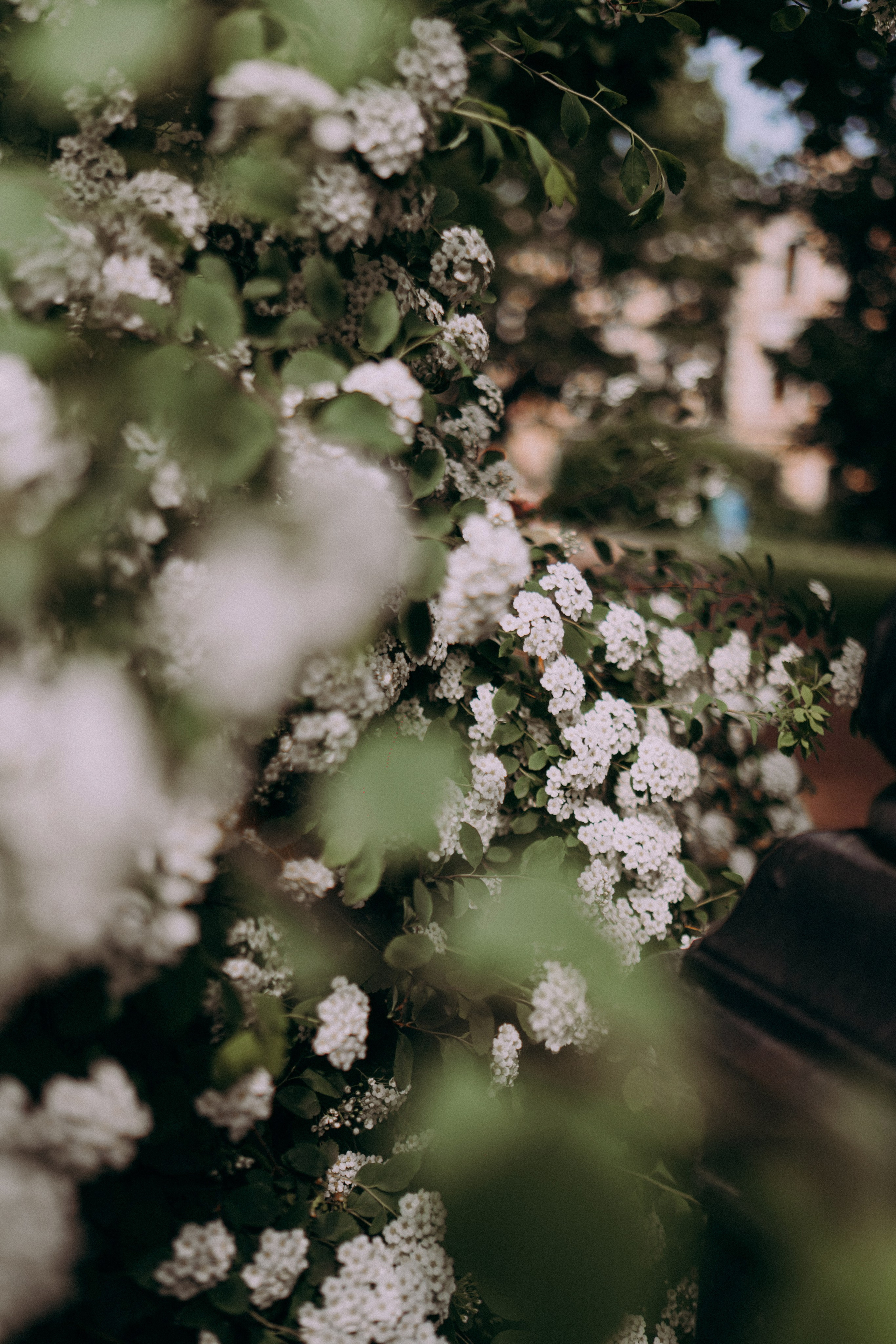 Индивидуальные. Главная