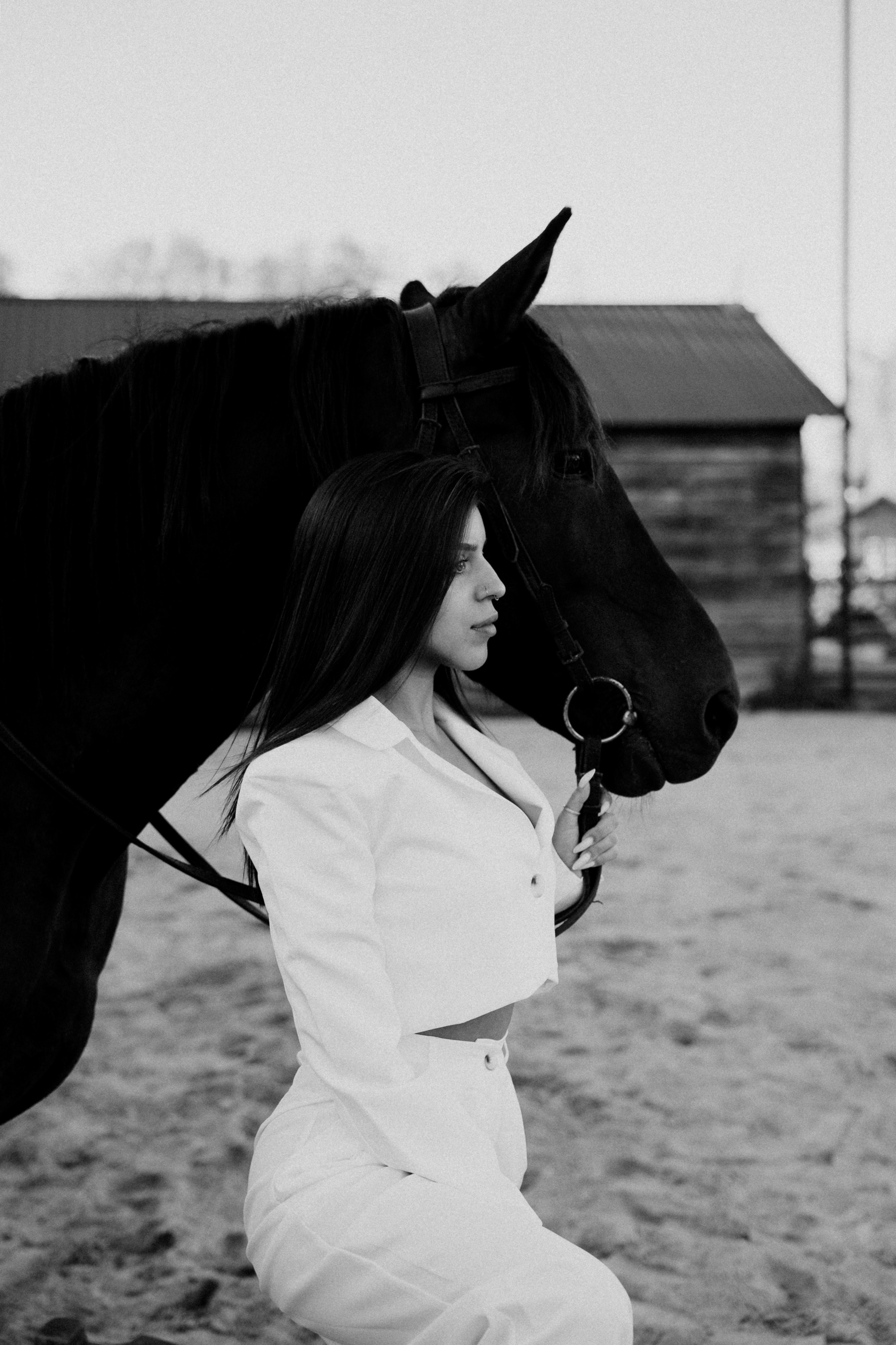 Конные. Главная