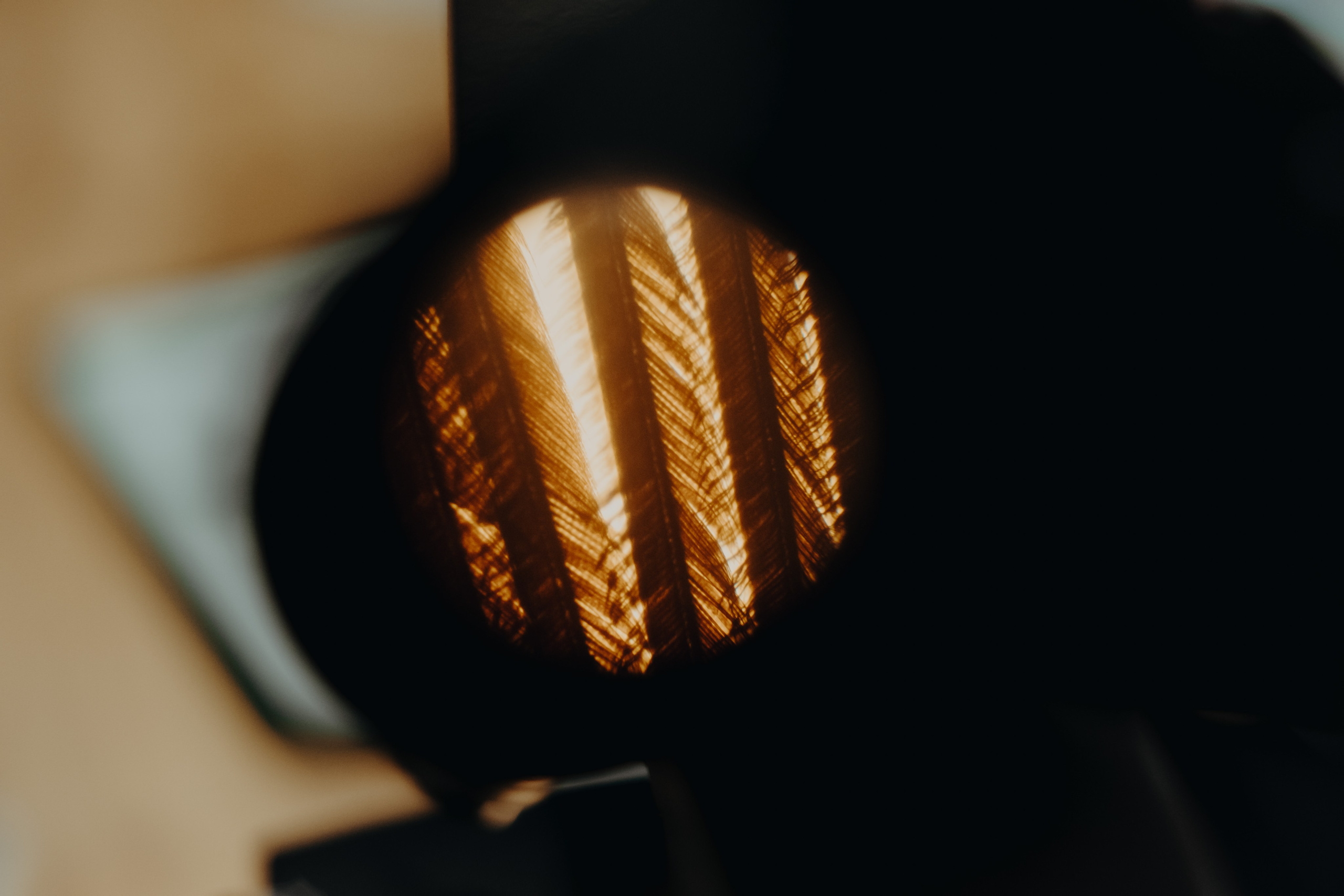 Terra Nova: Пробуждение |Грани Миров. Фотограф Аннё| Москва