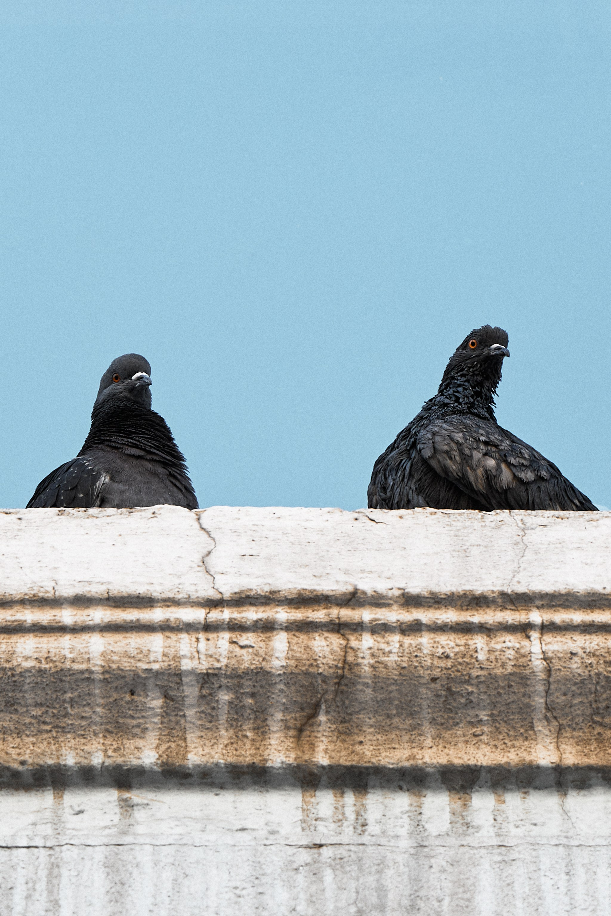 Стрит / Архитектура / Путешествия. Портретный, интерьерный и фуд фотограф в Перми Иван Вострецов