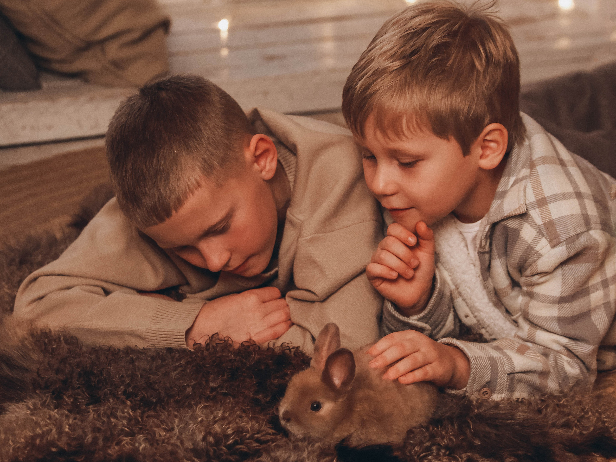 Вечерная семейная новогодняя. Мультифотограф Динара Ахмедзянова