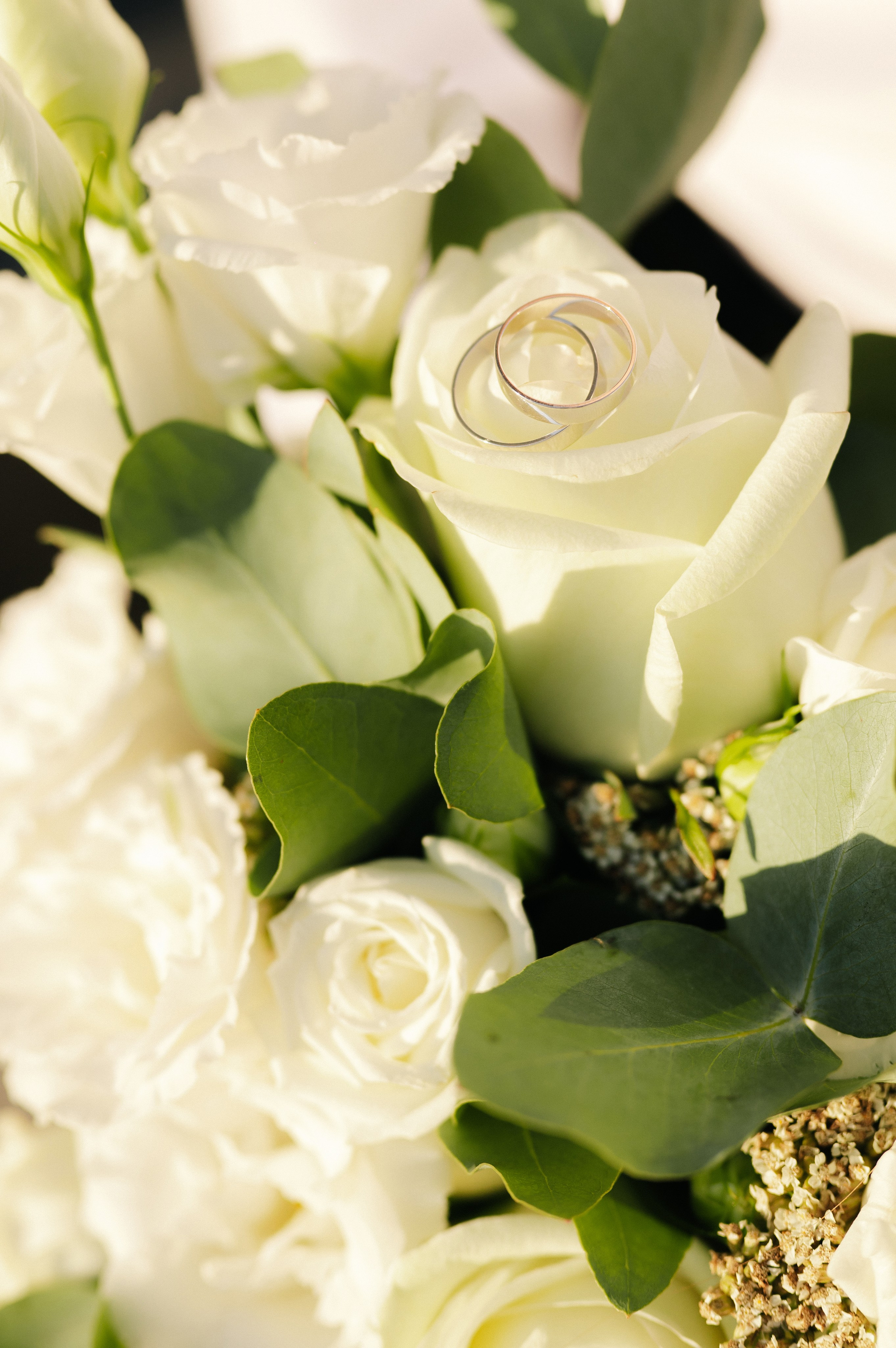 С | А. Свадебный и семейный фотограф Краснодар Майкоп Суслова Ольга