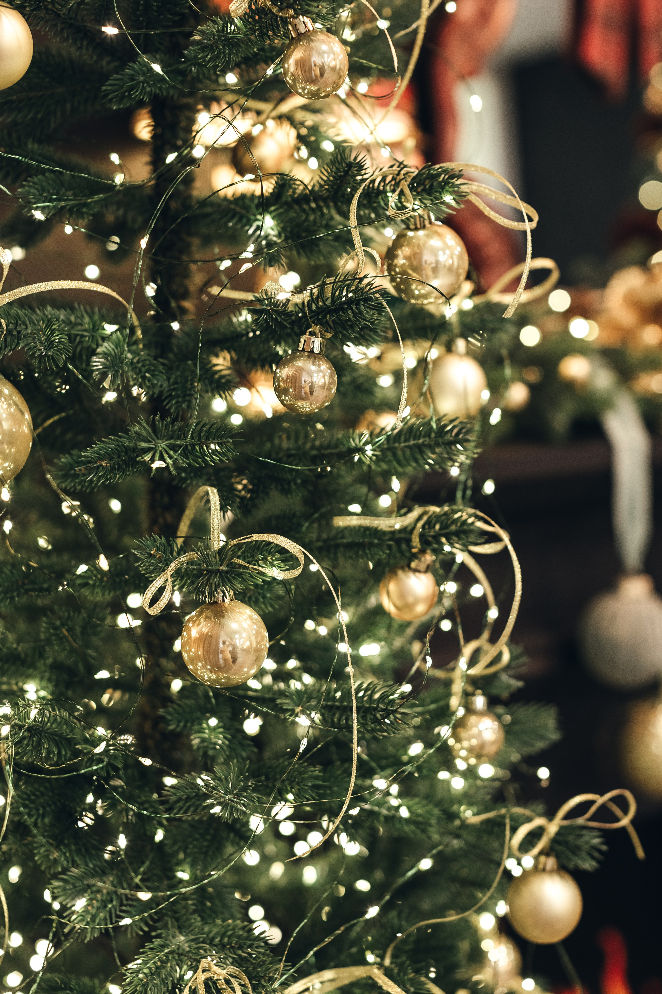 Светлая, просторная фотостудия в Тюмени. Профессиональный фотограф в Тюмени Наталья Кравченко