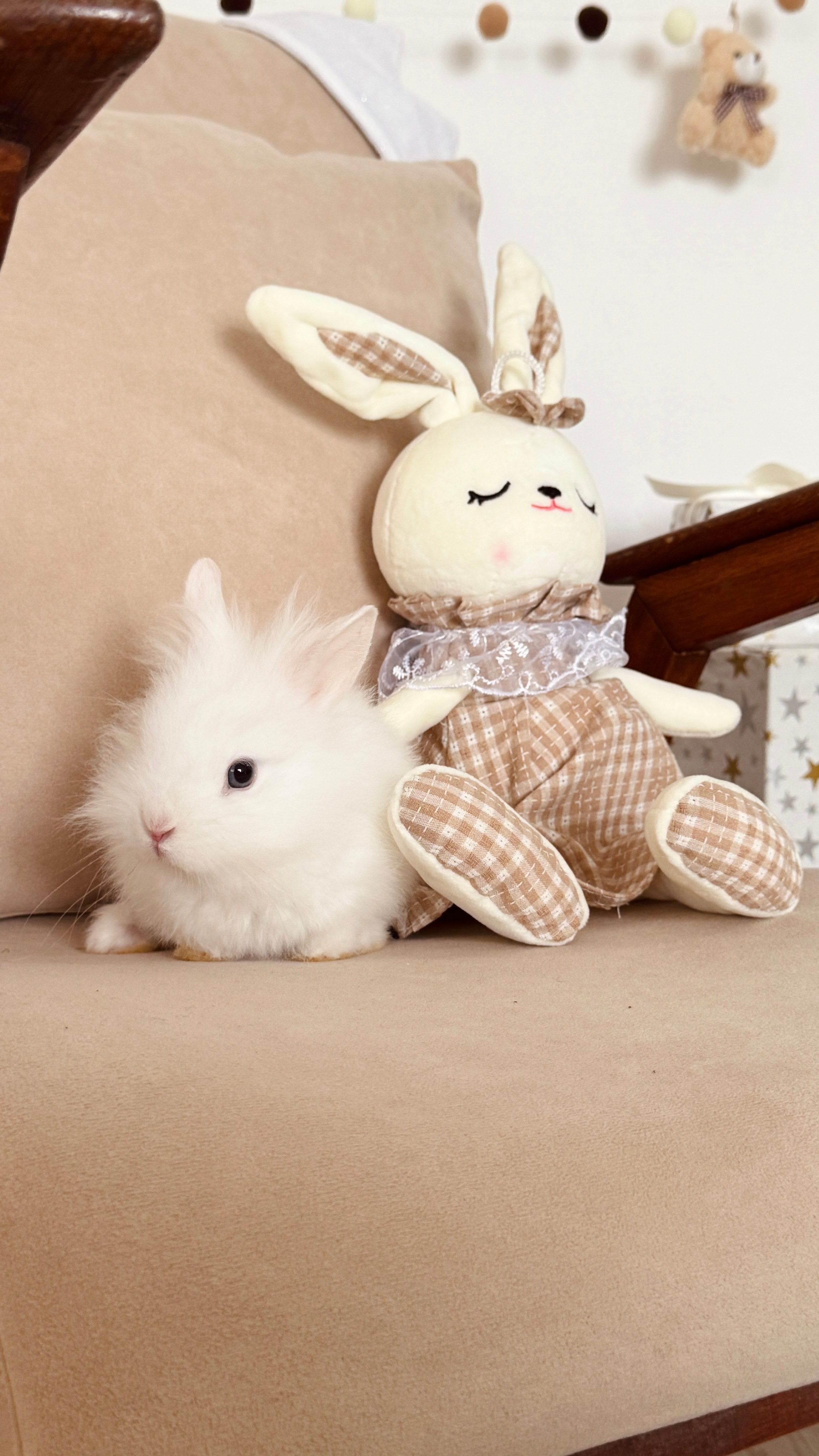 Детская локация. Фотостудия Натальи Забродской