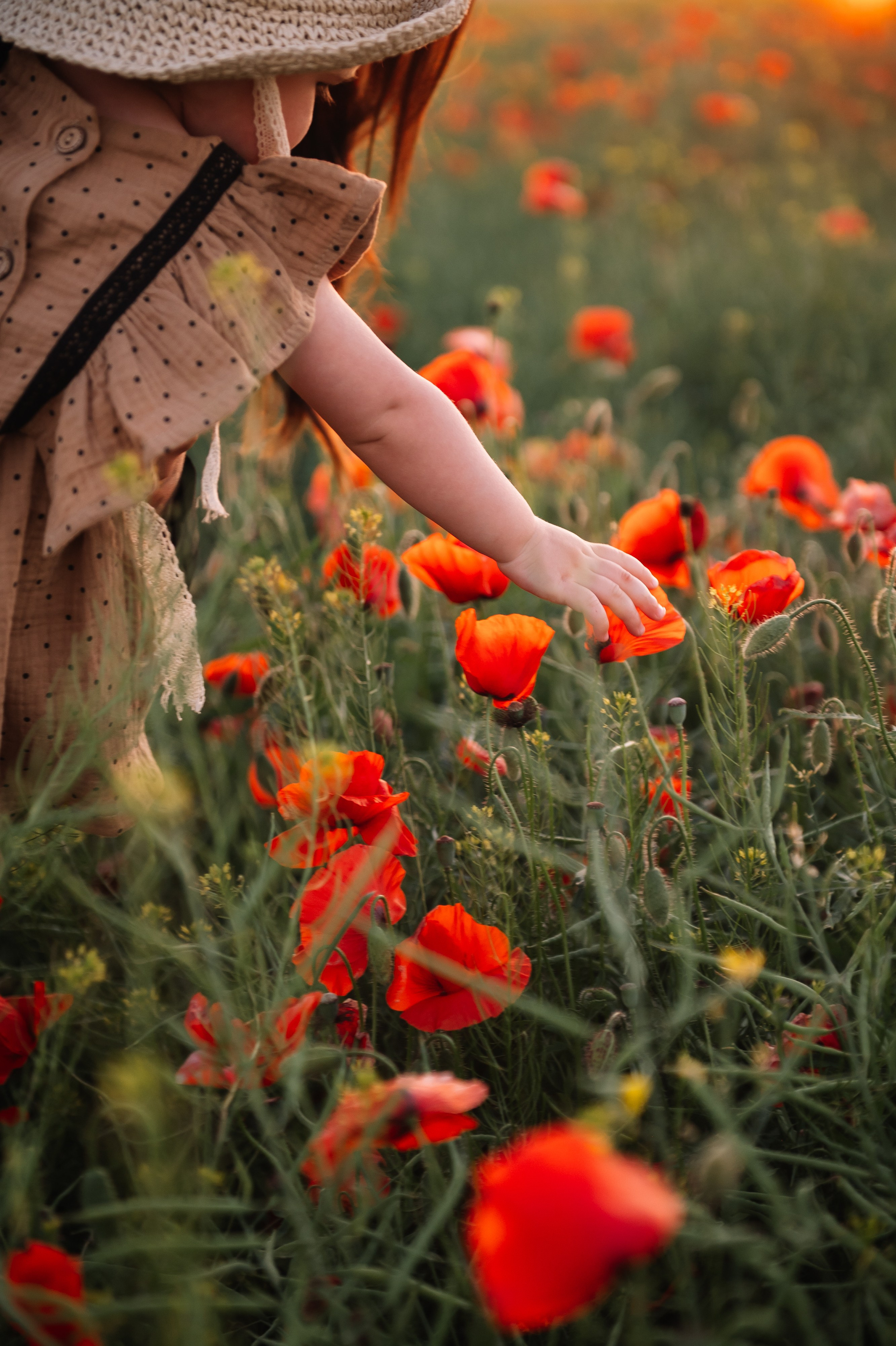 Маки. Фотограф Красногвардейское Ставропольский край Белякевич Елена