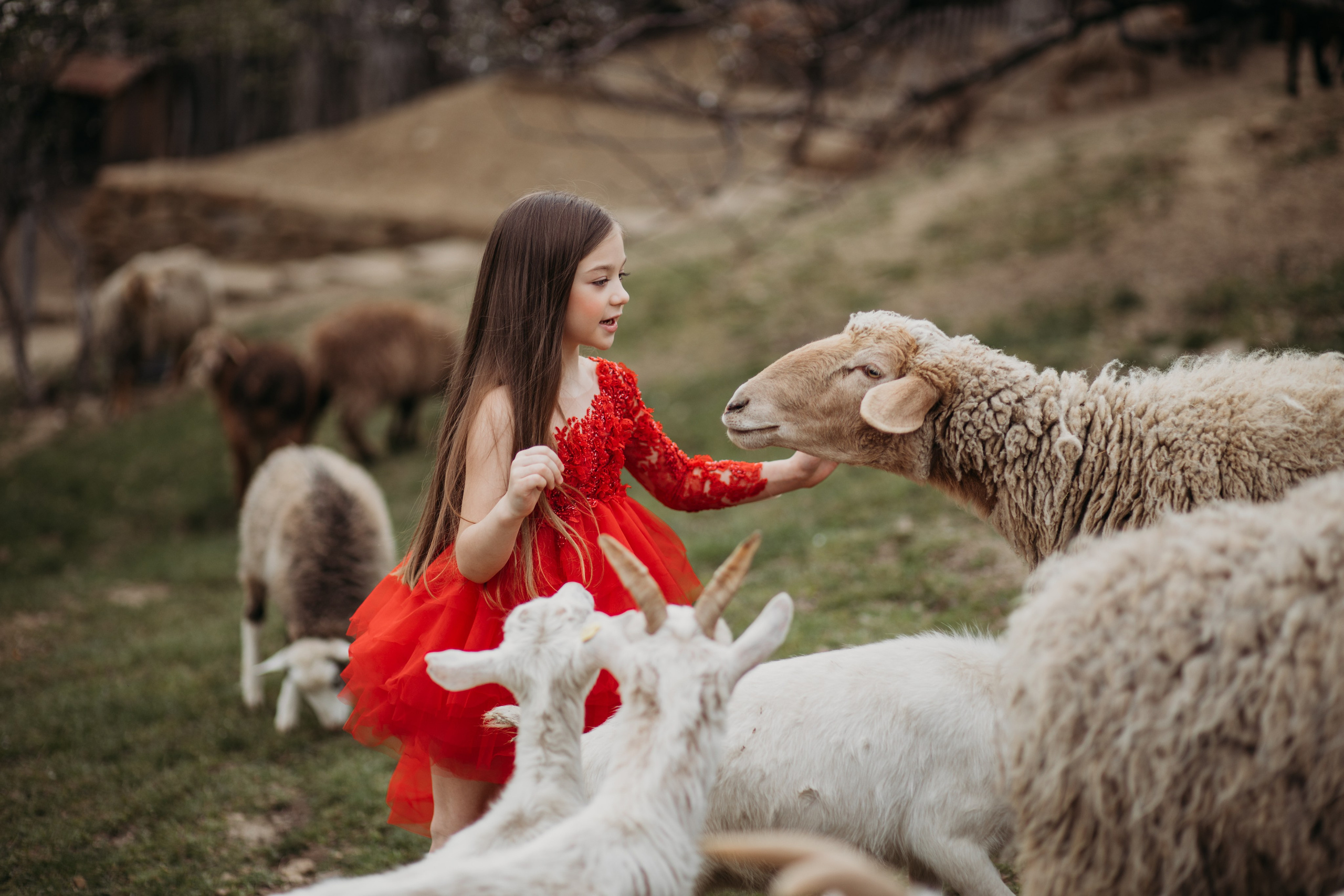 Ферма Экзархо. Фотограф Сочи Татьяна Зорина