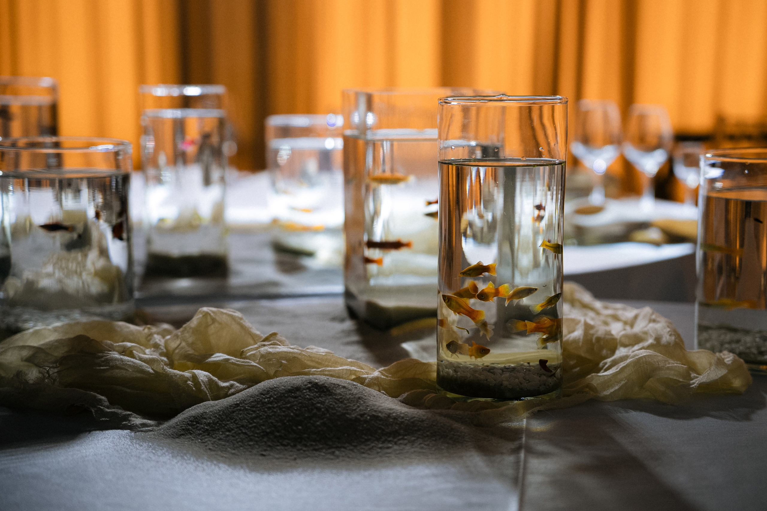 Алина+Александр. Анонс. Семейный и портретный фотограф в Саратове Сахарова Маша