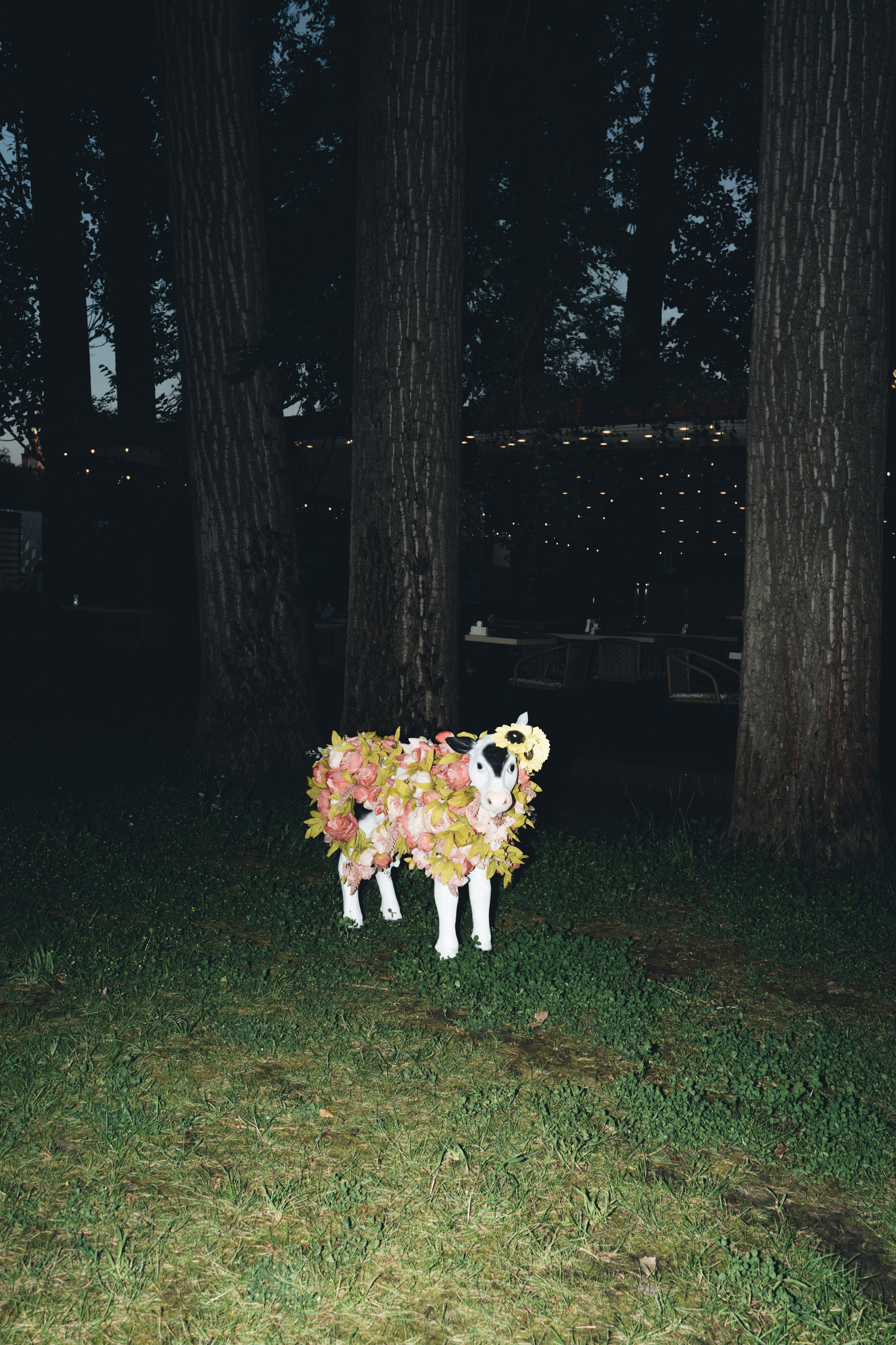 Portfolio 2025. Sasha Speranskii — Conceptual Photographer | Based in Moscow