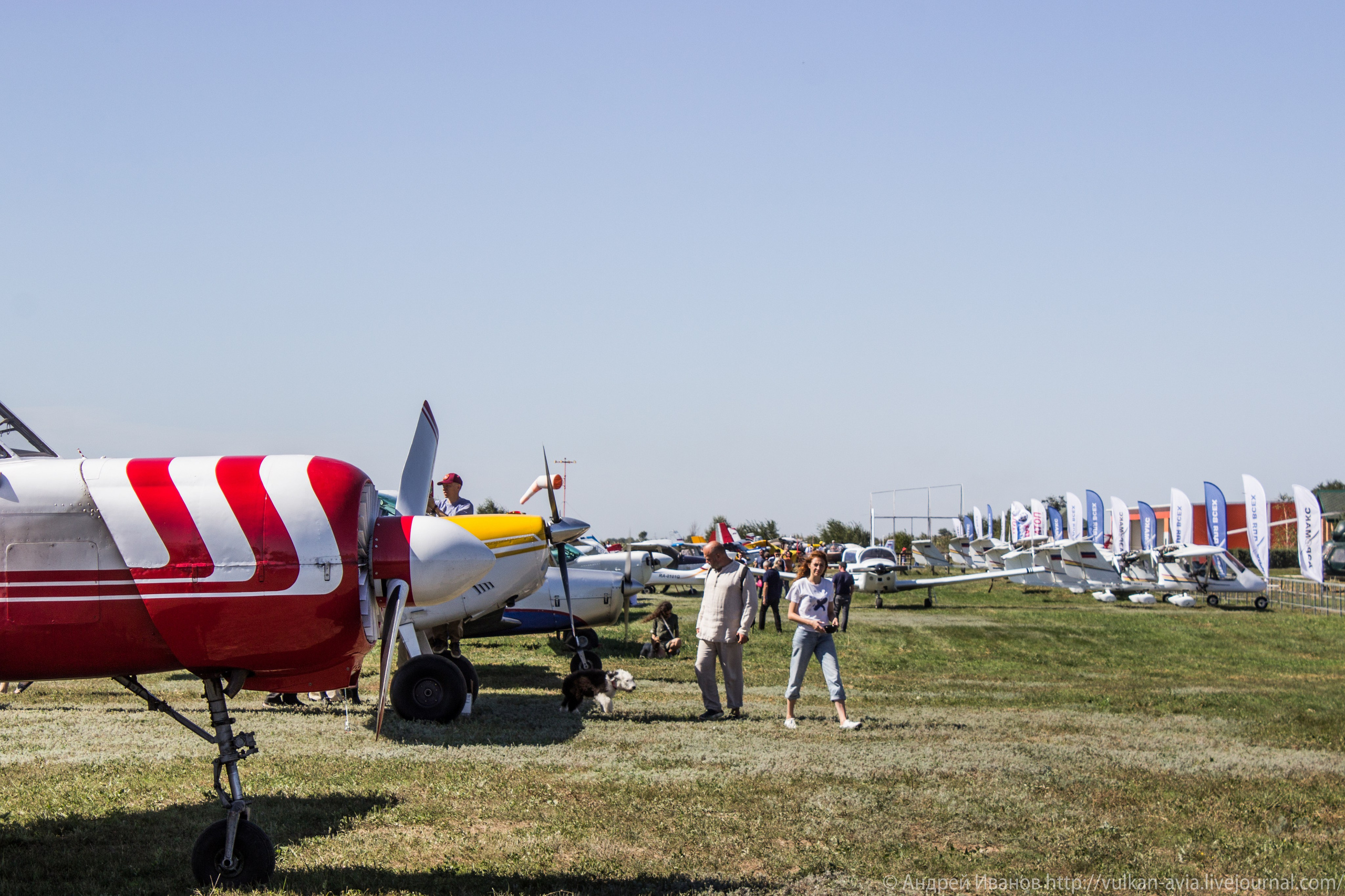 Волгодонск аэр. Потапов слёт «Небо для всех» (2021 г.). Фотоальбом показывающий увлекательный мир авиации и мир медведей Андрея Иванова