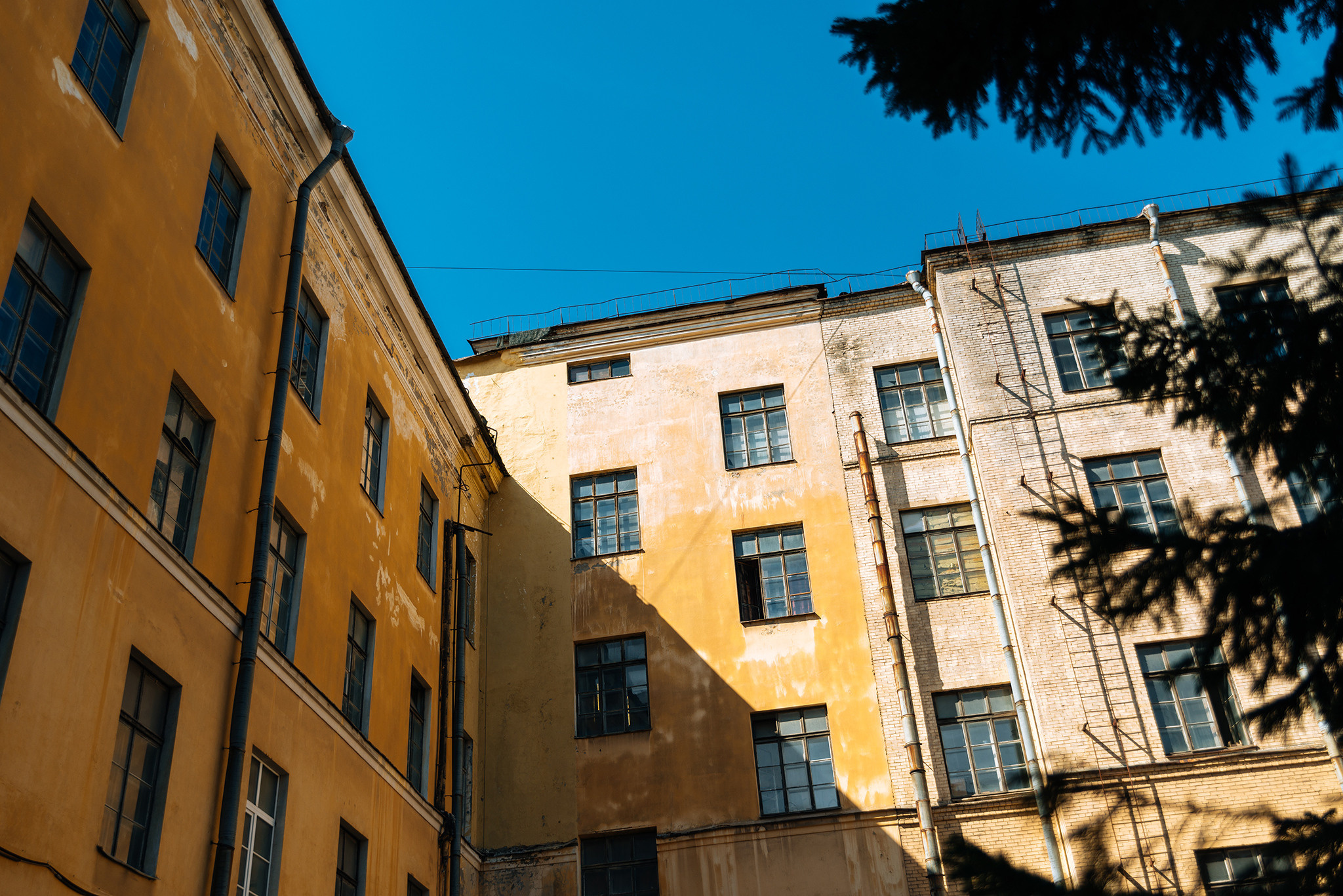 VaviLOVE Fest. Август 23. Репортажный фотограф в Санкт-Петербурге Анастасия Клёпова