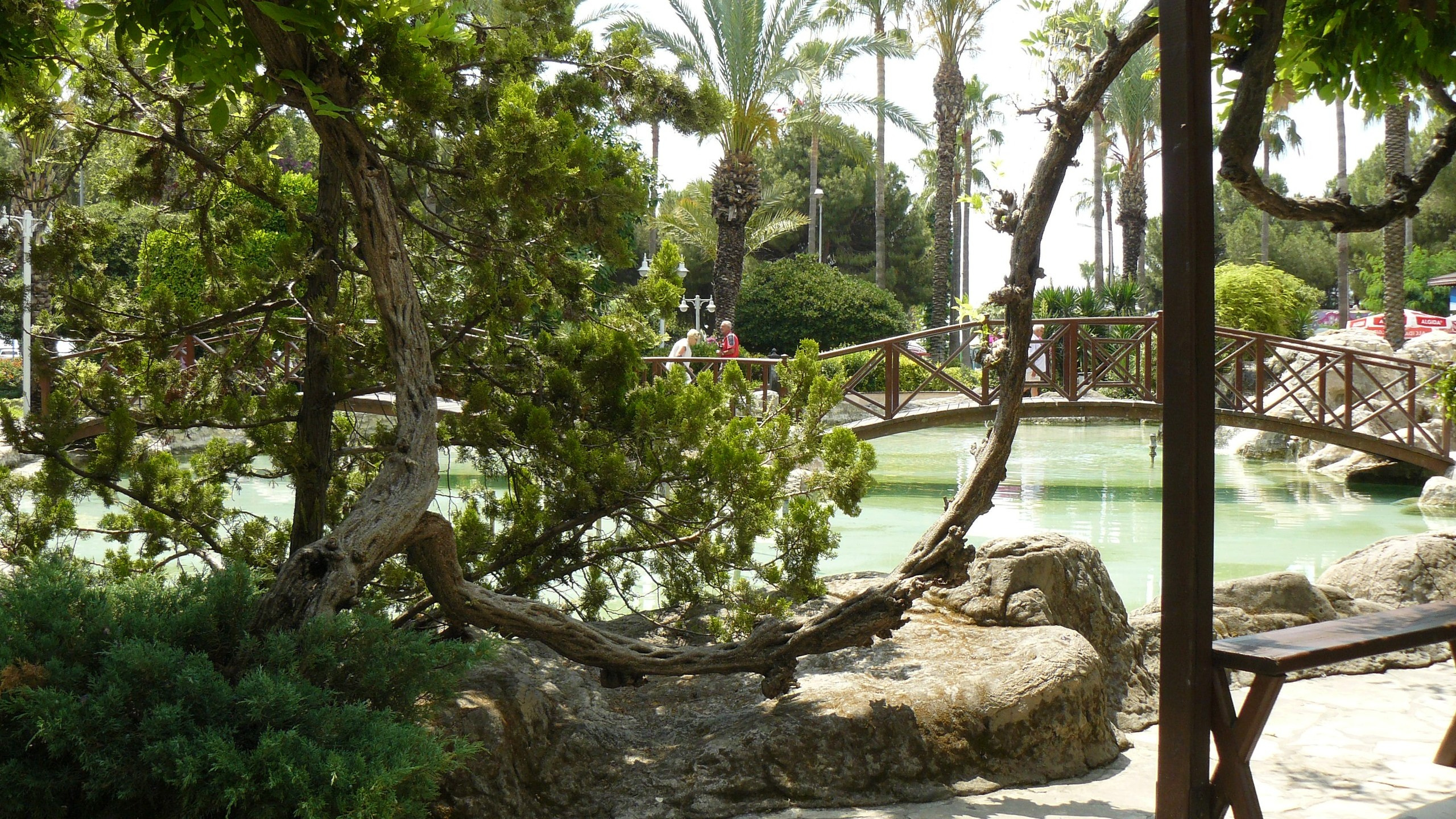 Алания 2015 порт и парк. Фотопрогулки по Миру