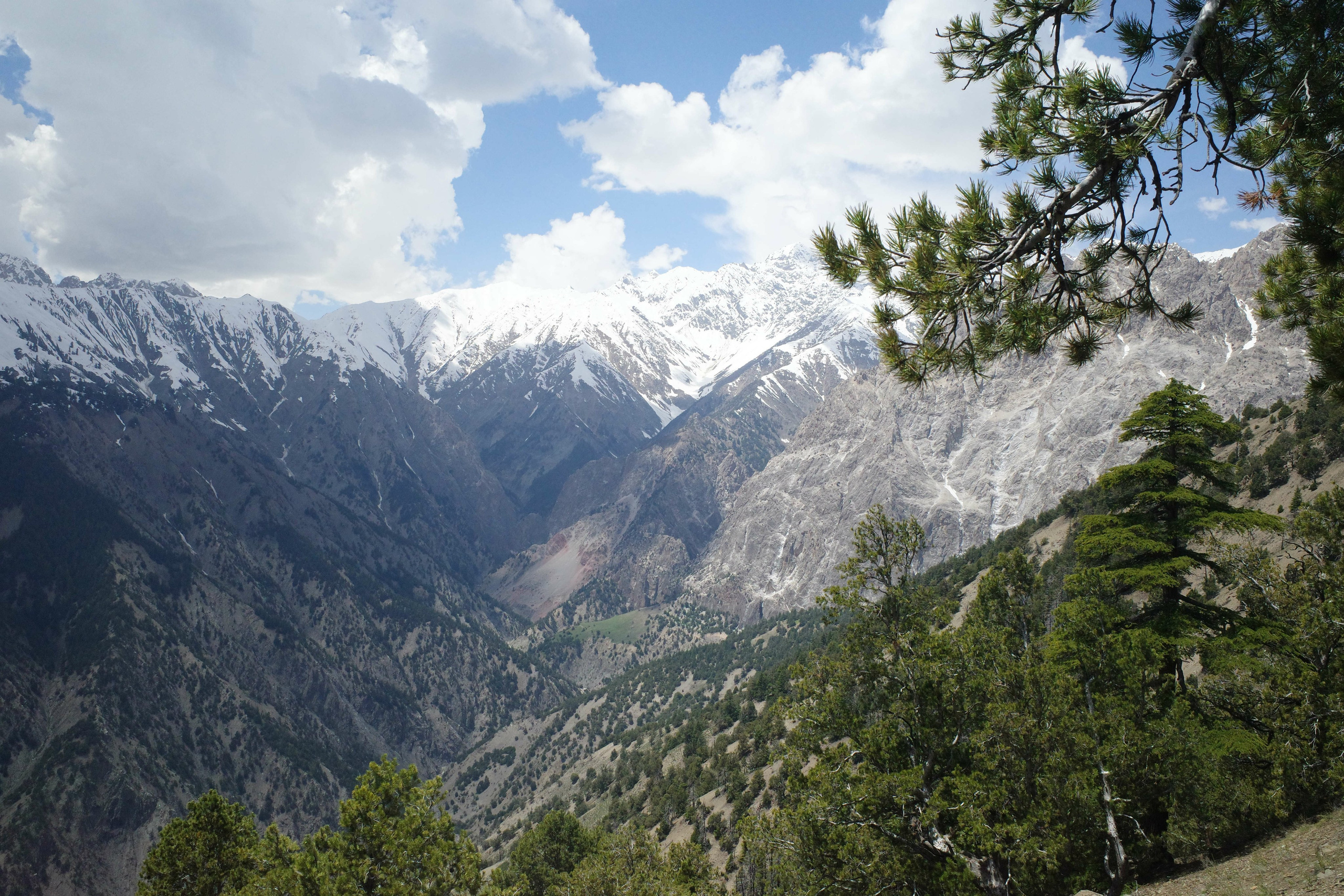 Chitral Gol National Park