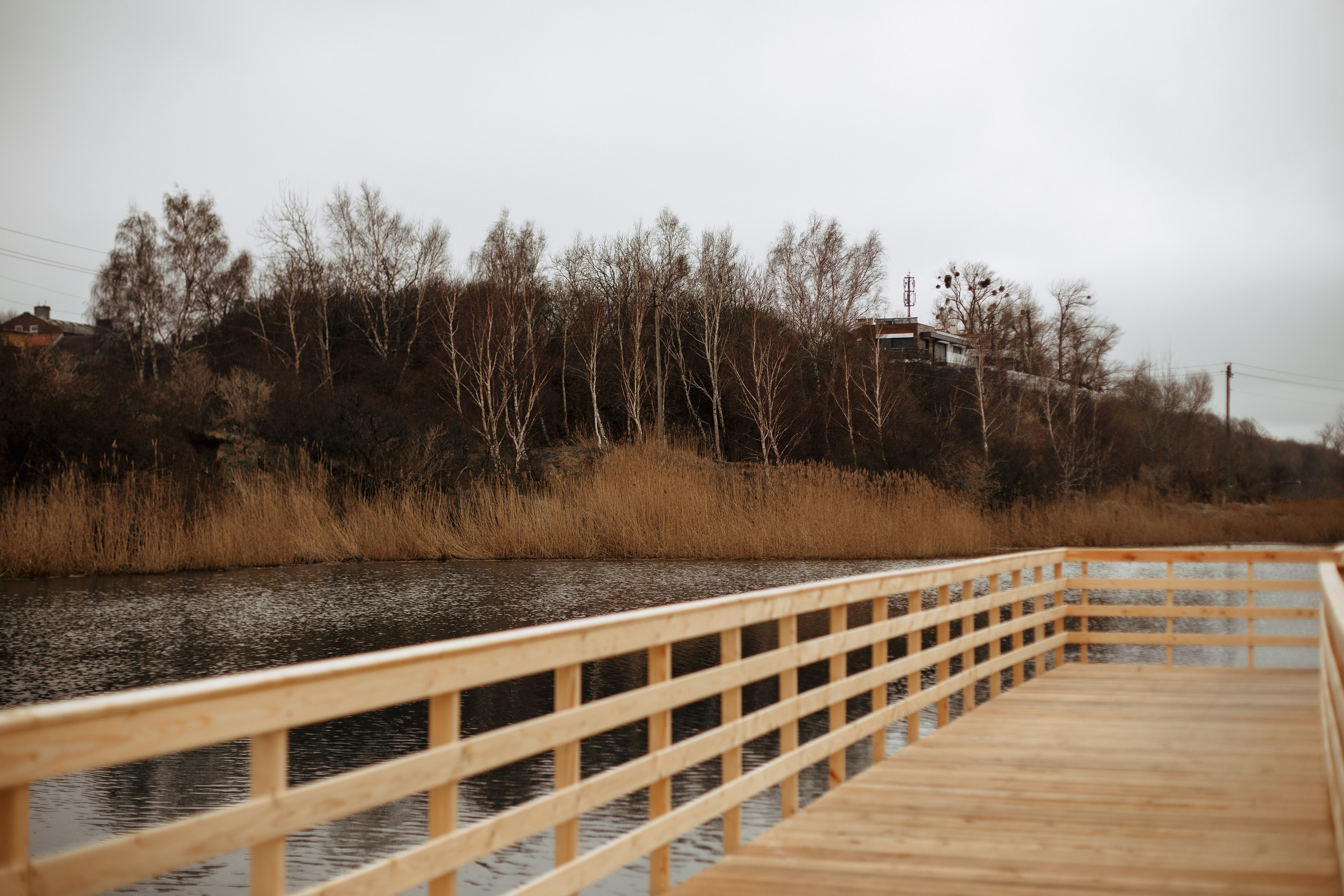 Янтарный. Https://malovafoto.ru