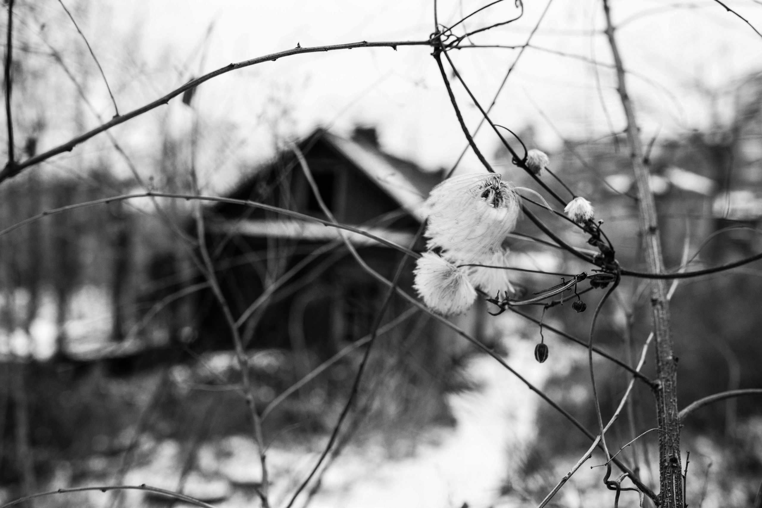 Зарисовки. Иван Ефремов фотограф в городе Владивостоке
