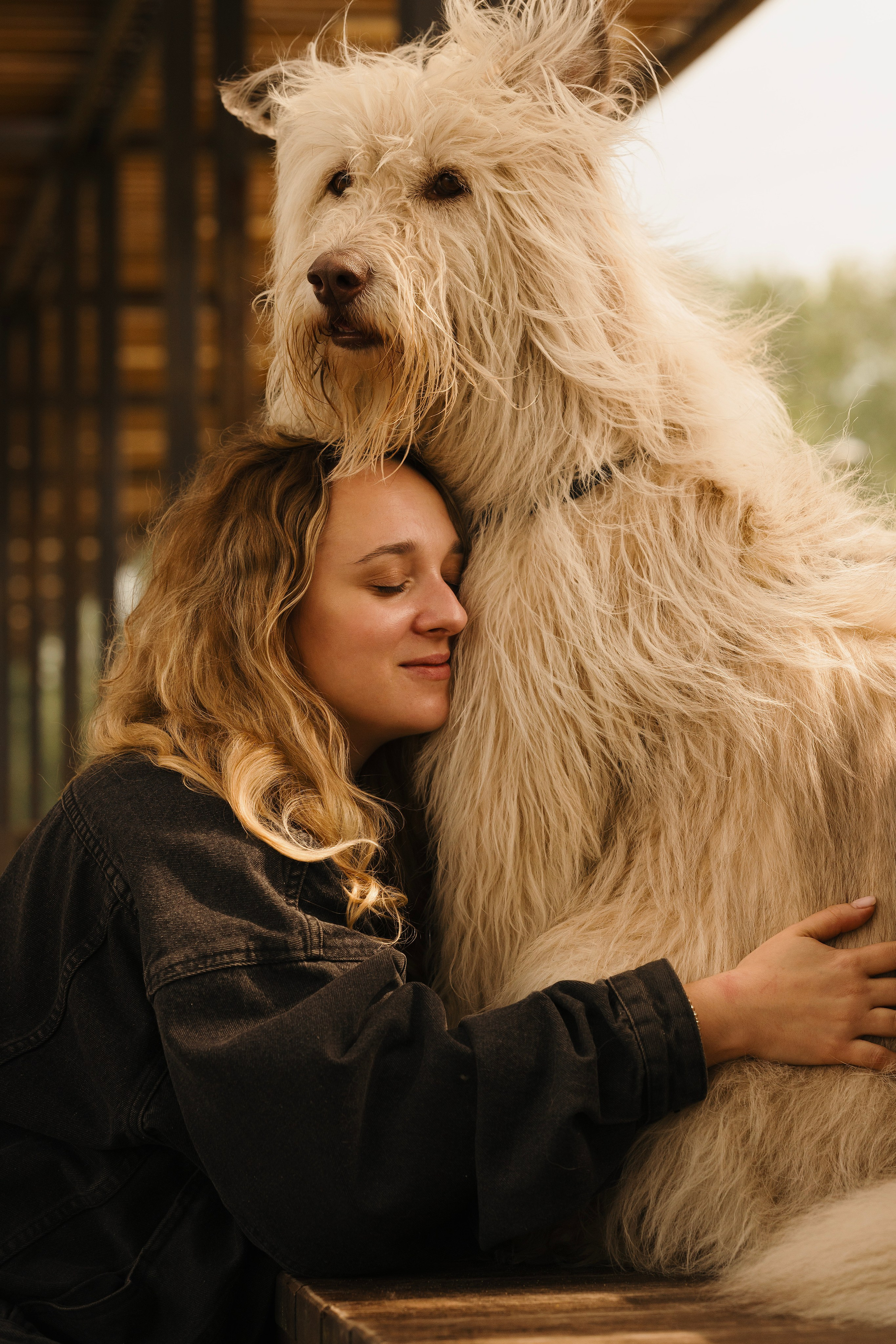 Акиро и Йоши. Фотограф- анималист Александра Матвеева