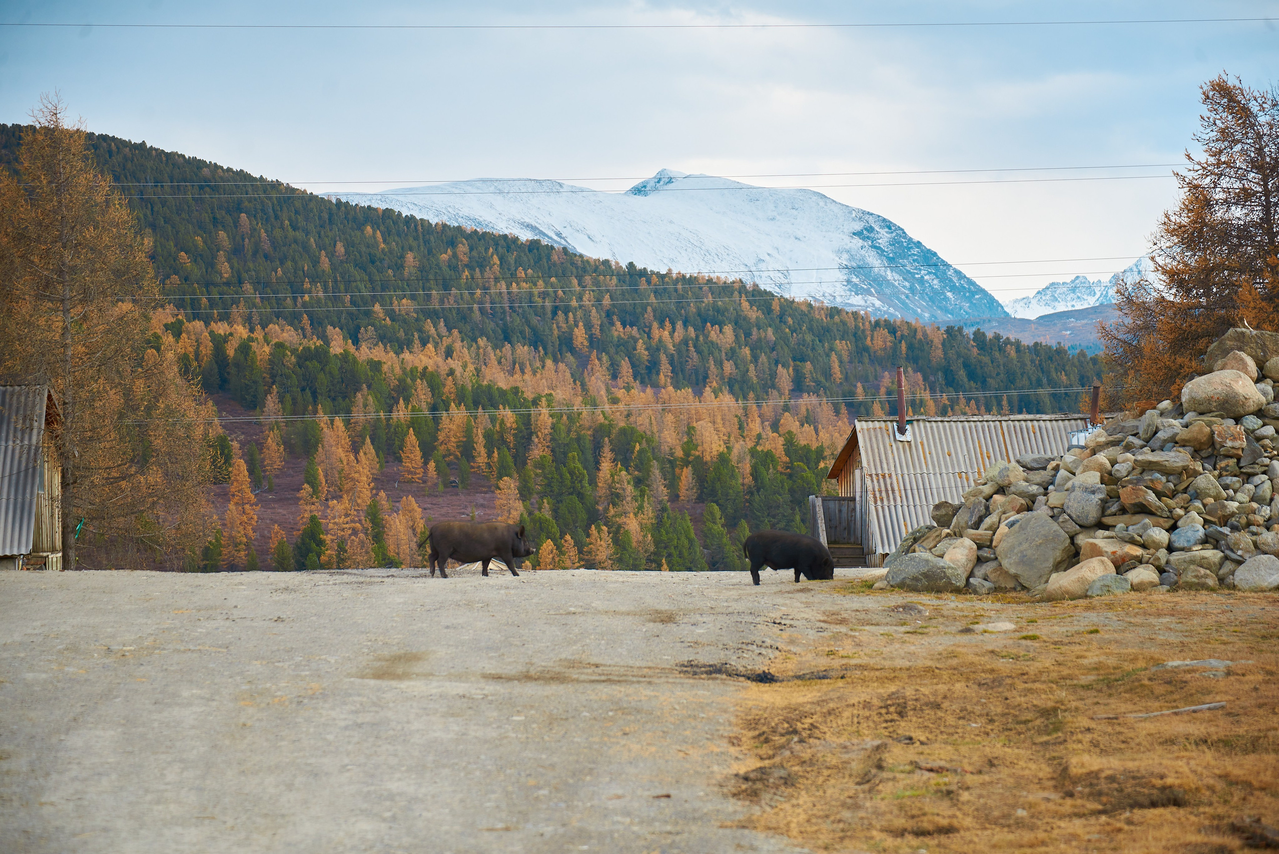 Контент-съёмка для туристической компании НА ВЫСОТЕ. Семейный фотограф в Барнауле, Горный Алтай, Заринск, Алейск