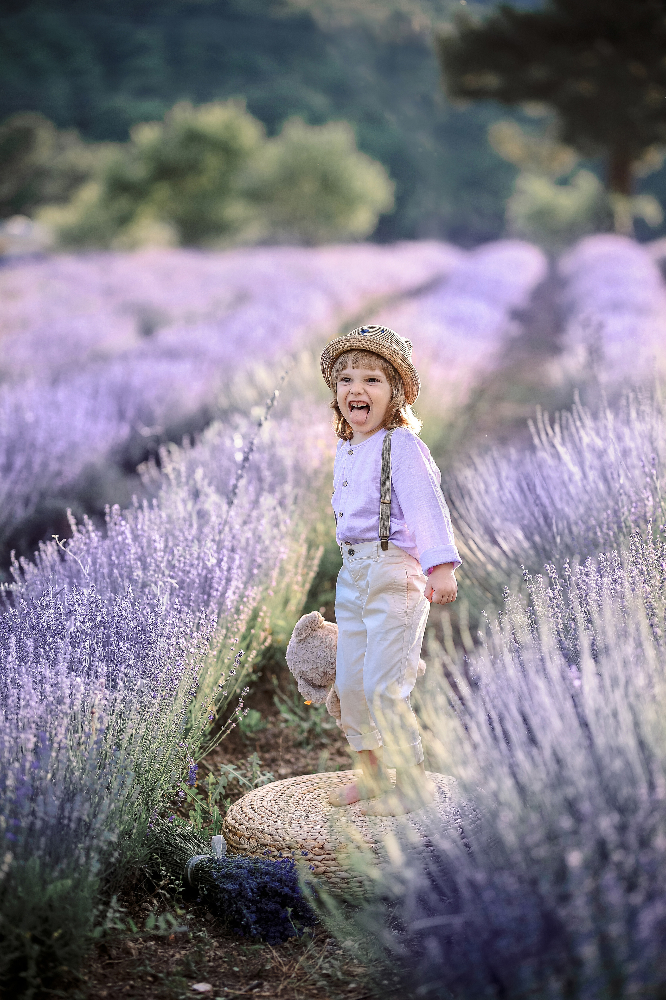 Lavender in Antalya