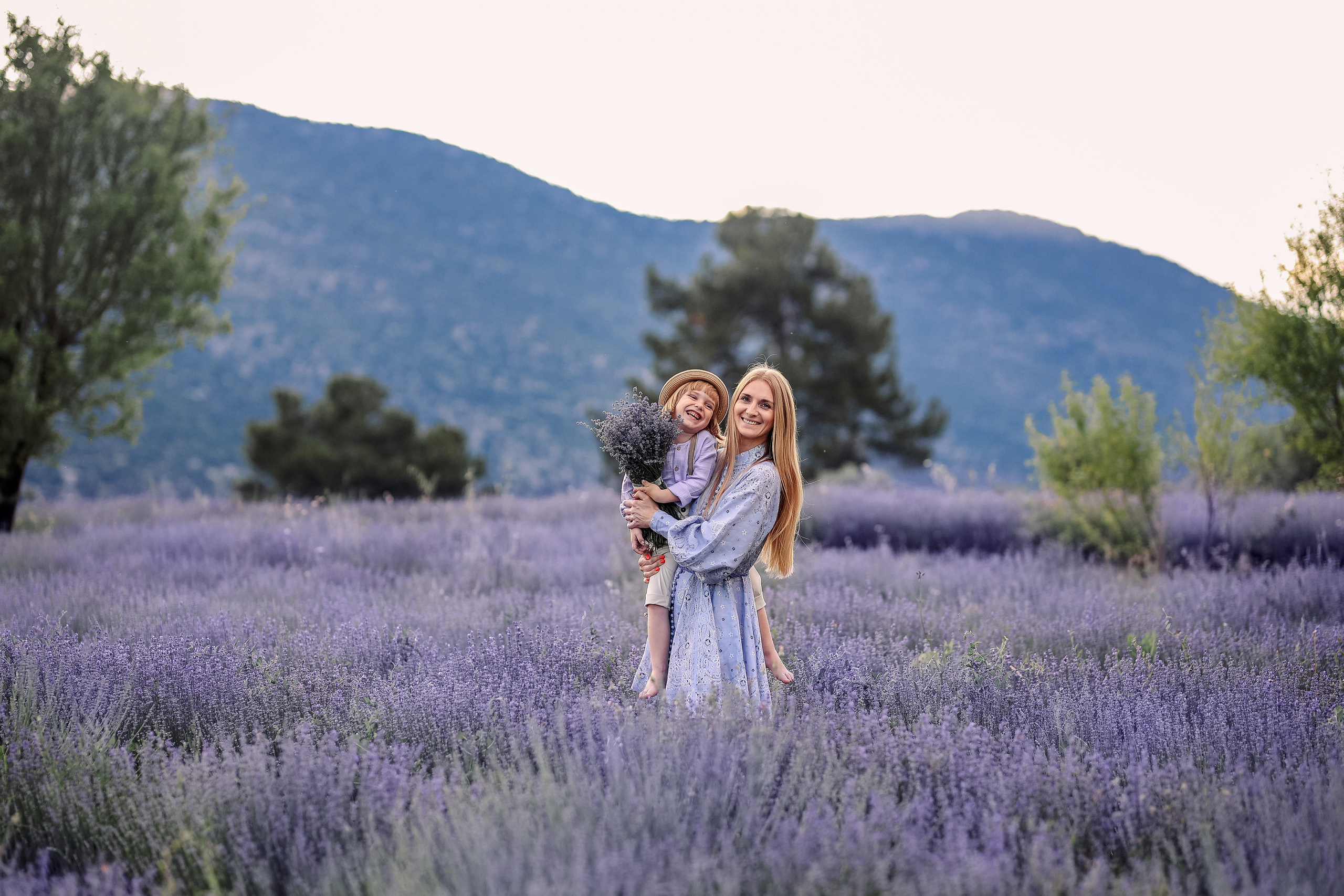 Lavender in Antalya