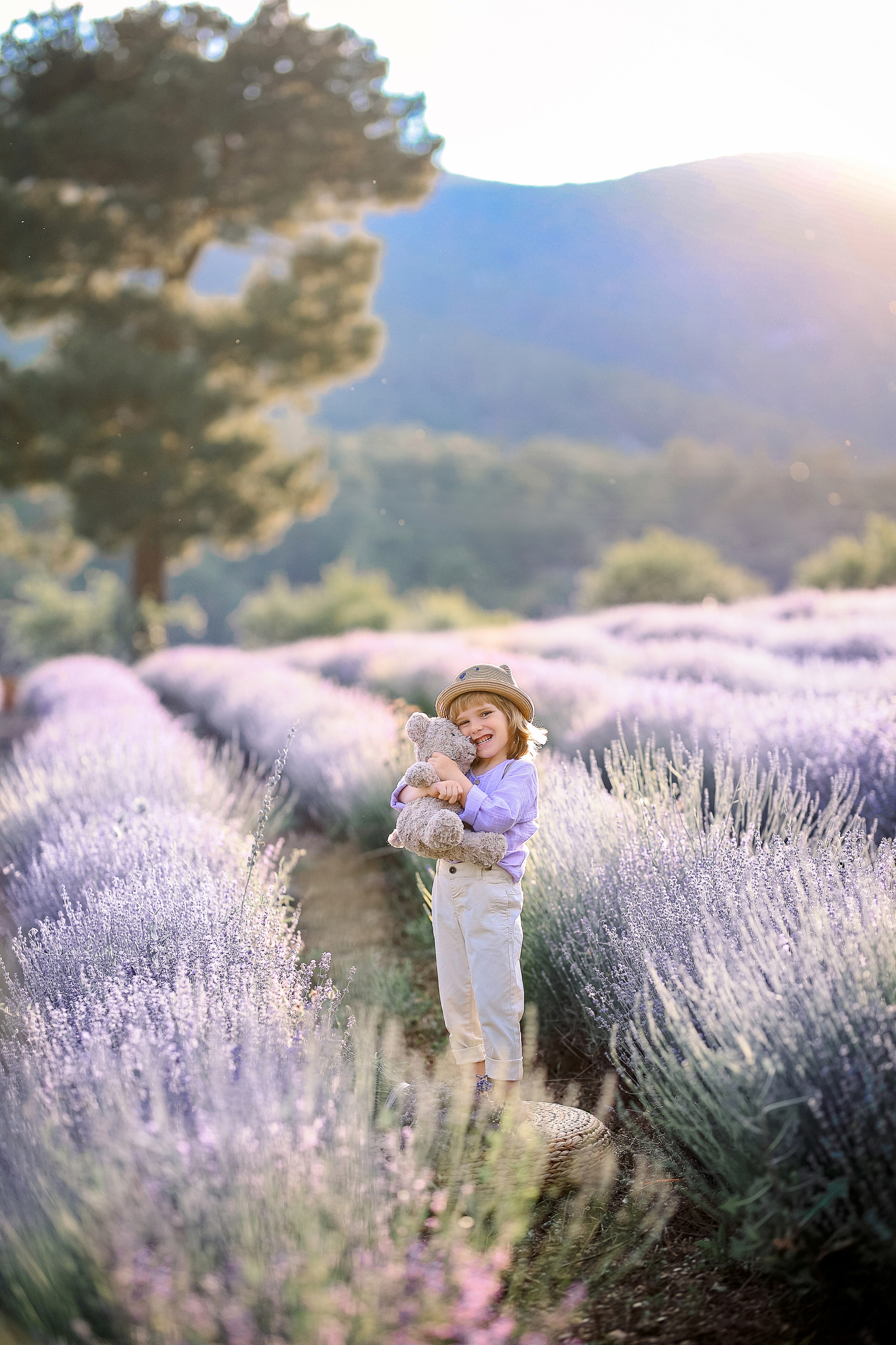 Lavender in Antalya