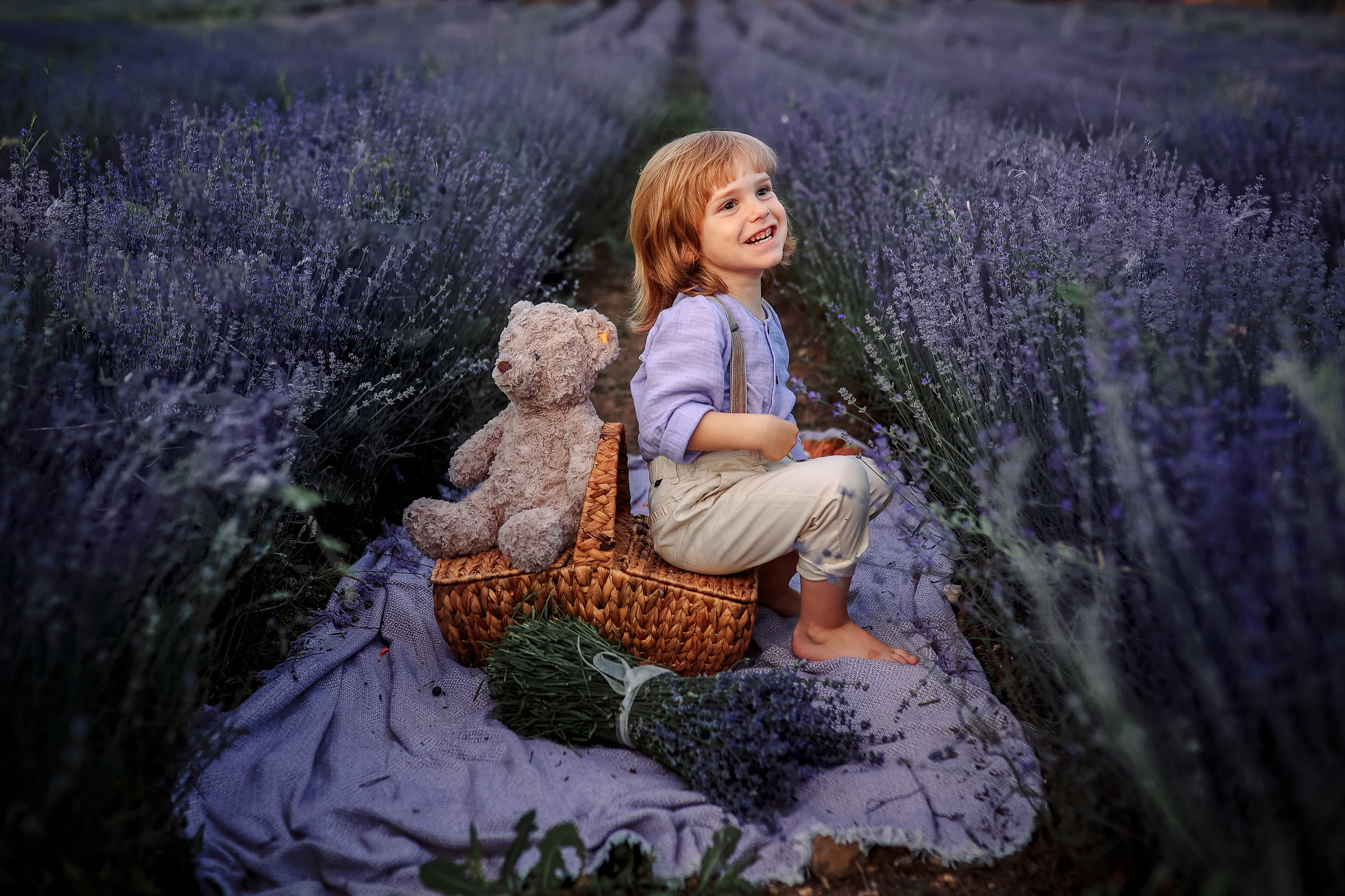 Lavender in Antalya