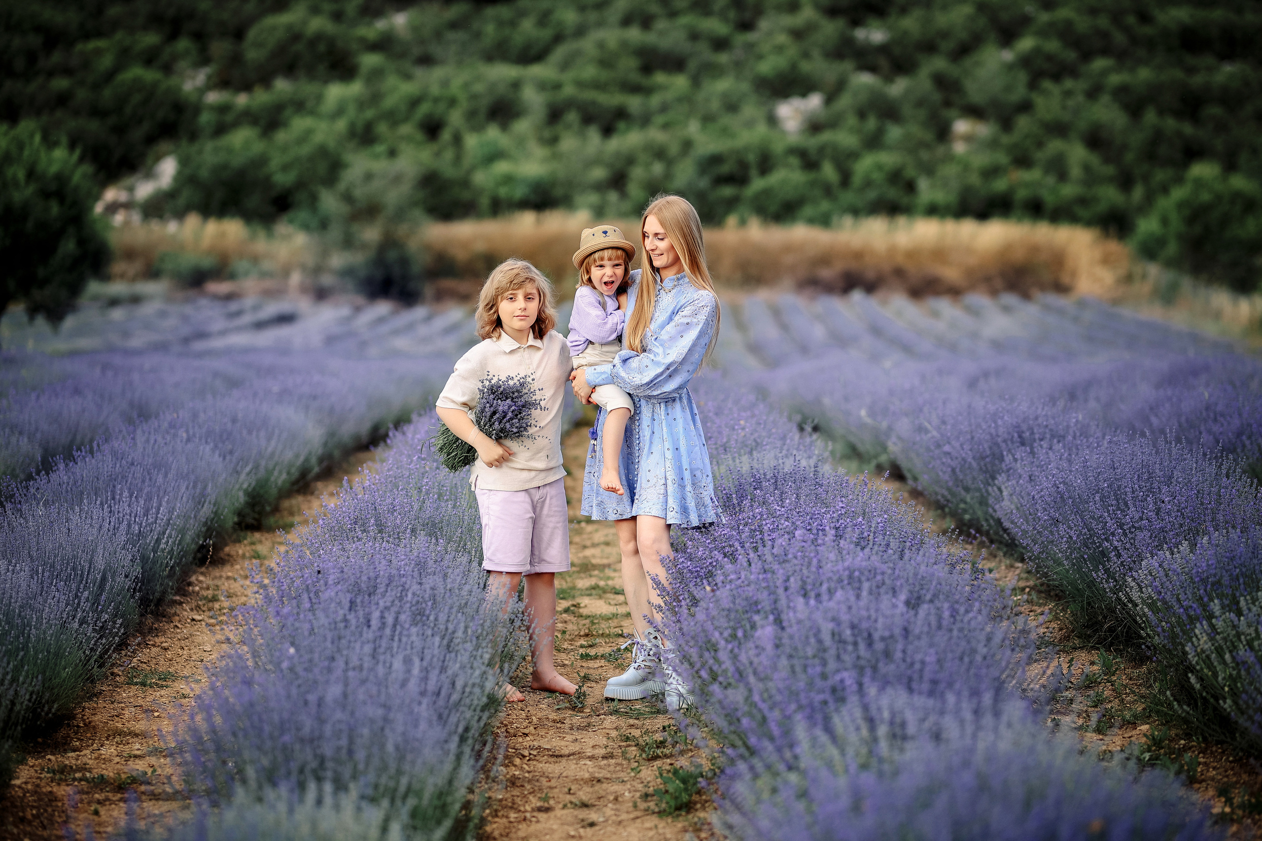 Lavender in Antalya