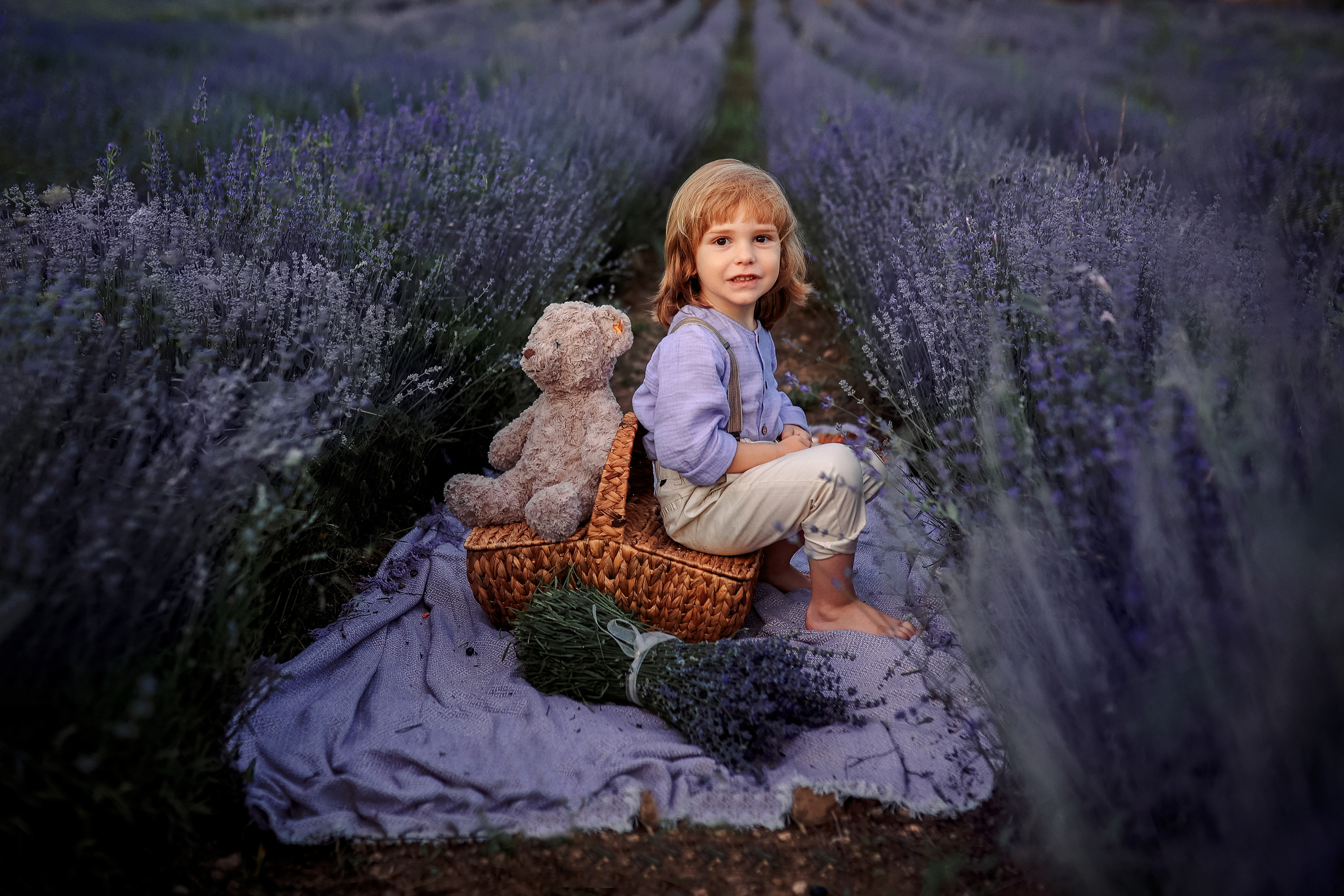 Lavender in Antalya