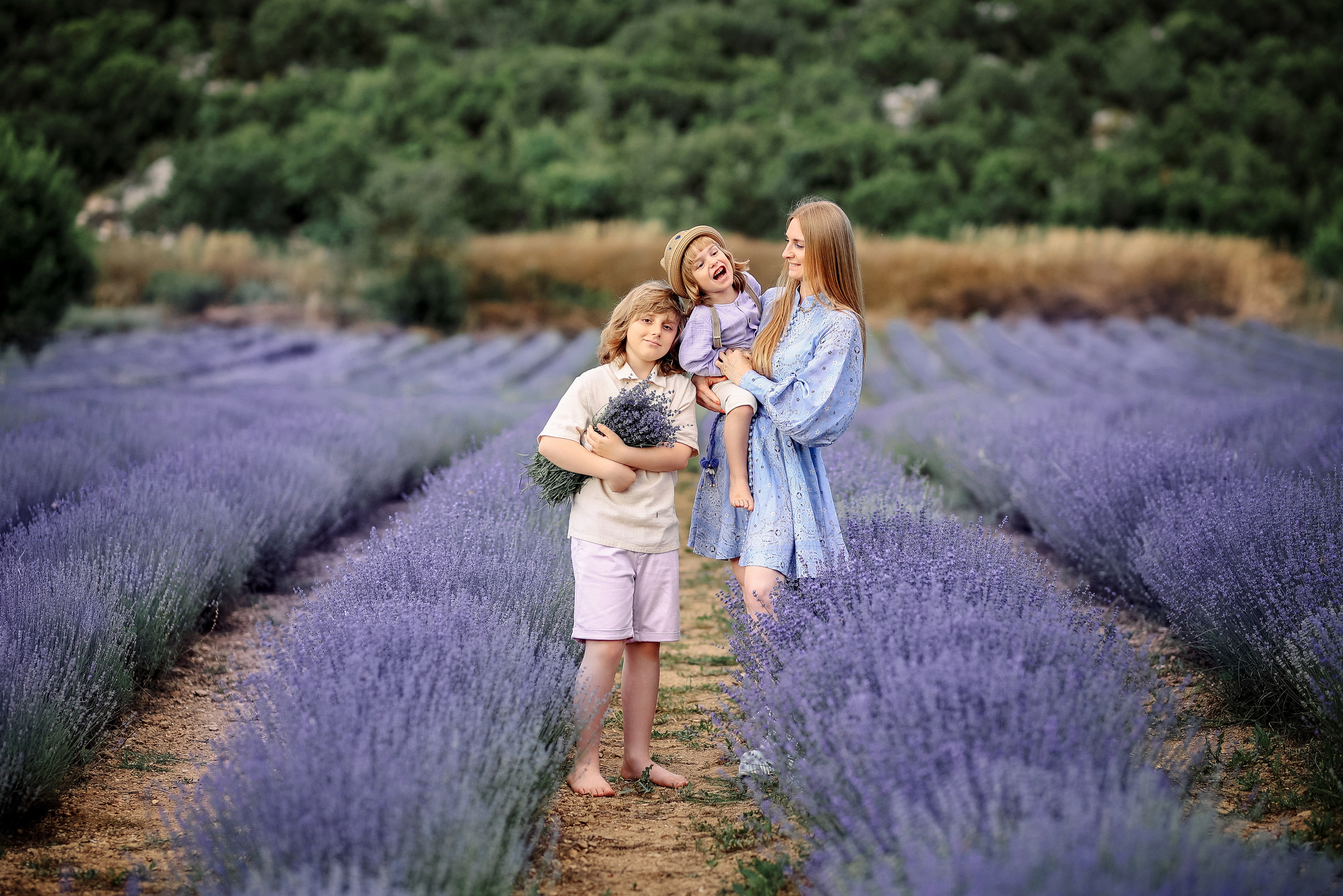 Lavender in Antalya