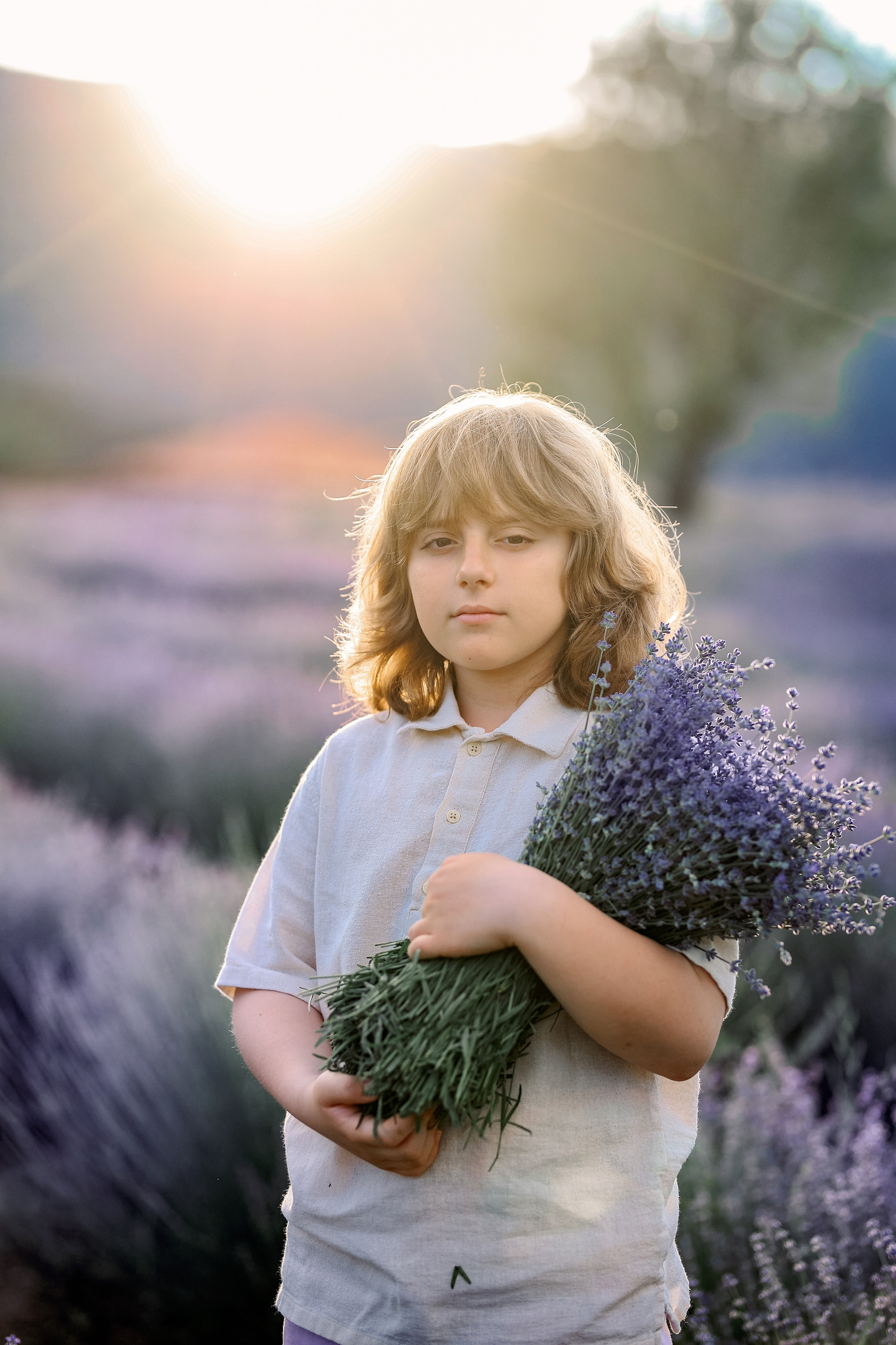 Lavender in Antalya