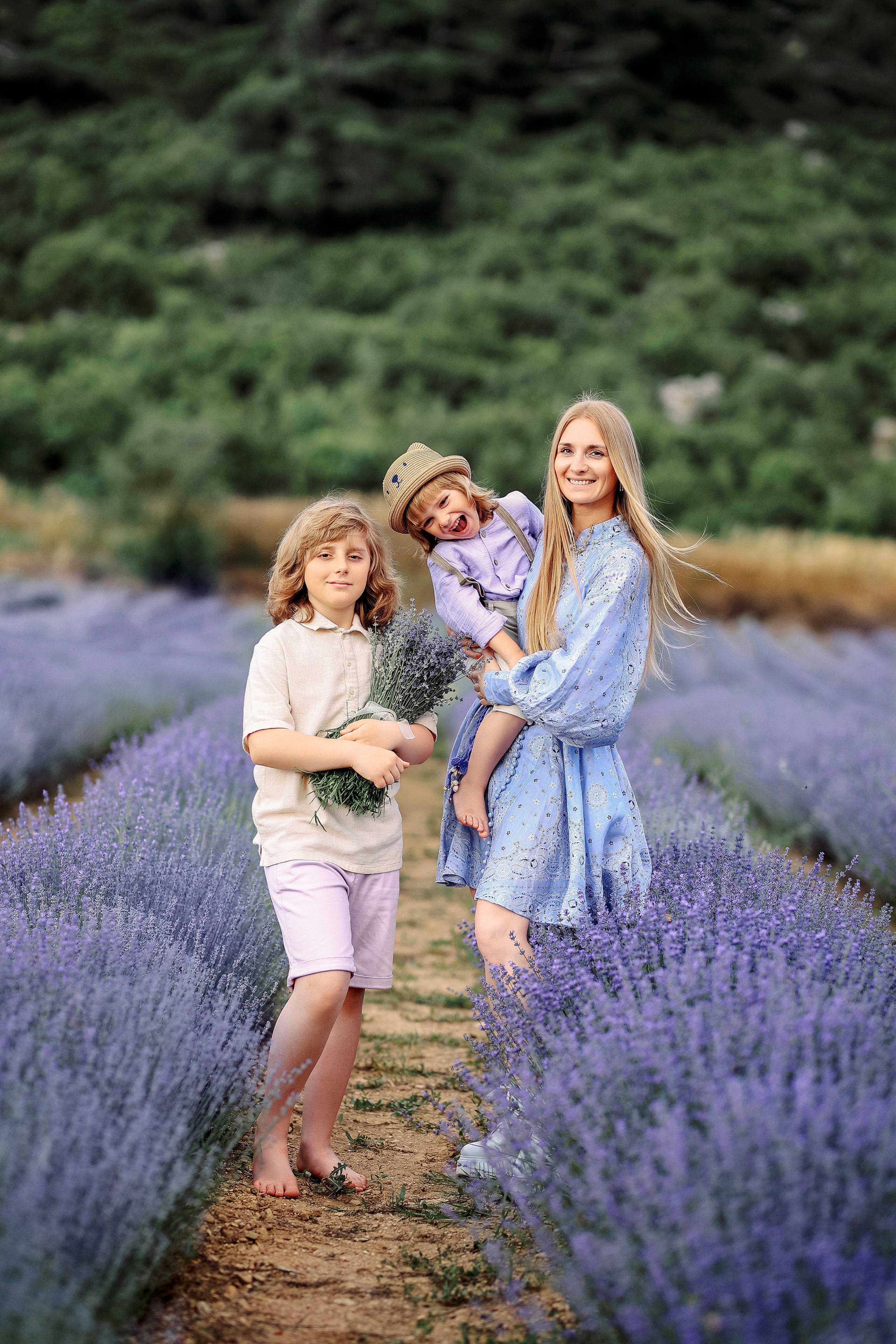 Lavender in Antalya