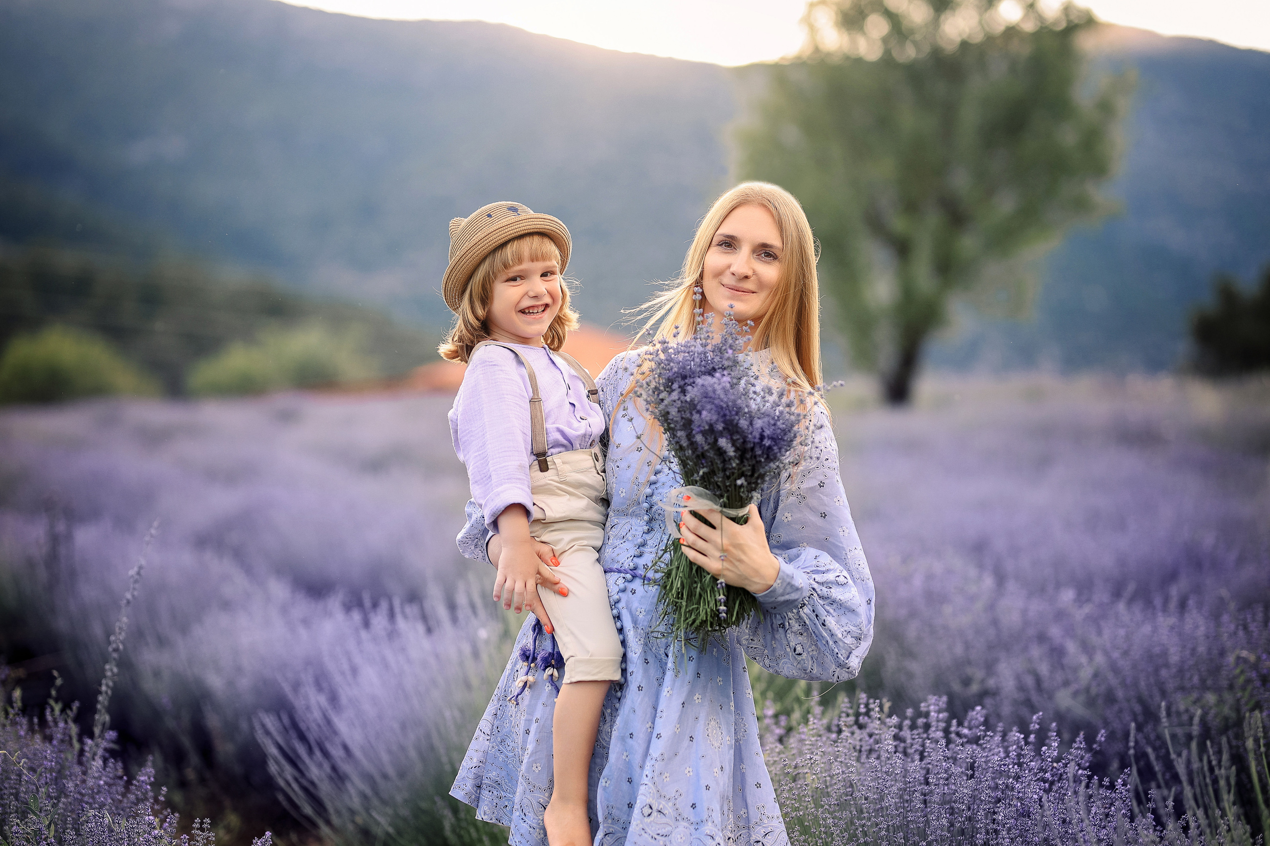 Lavender in Antalya