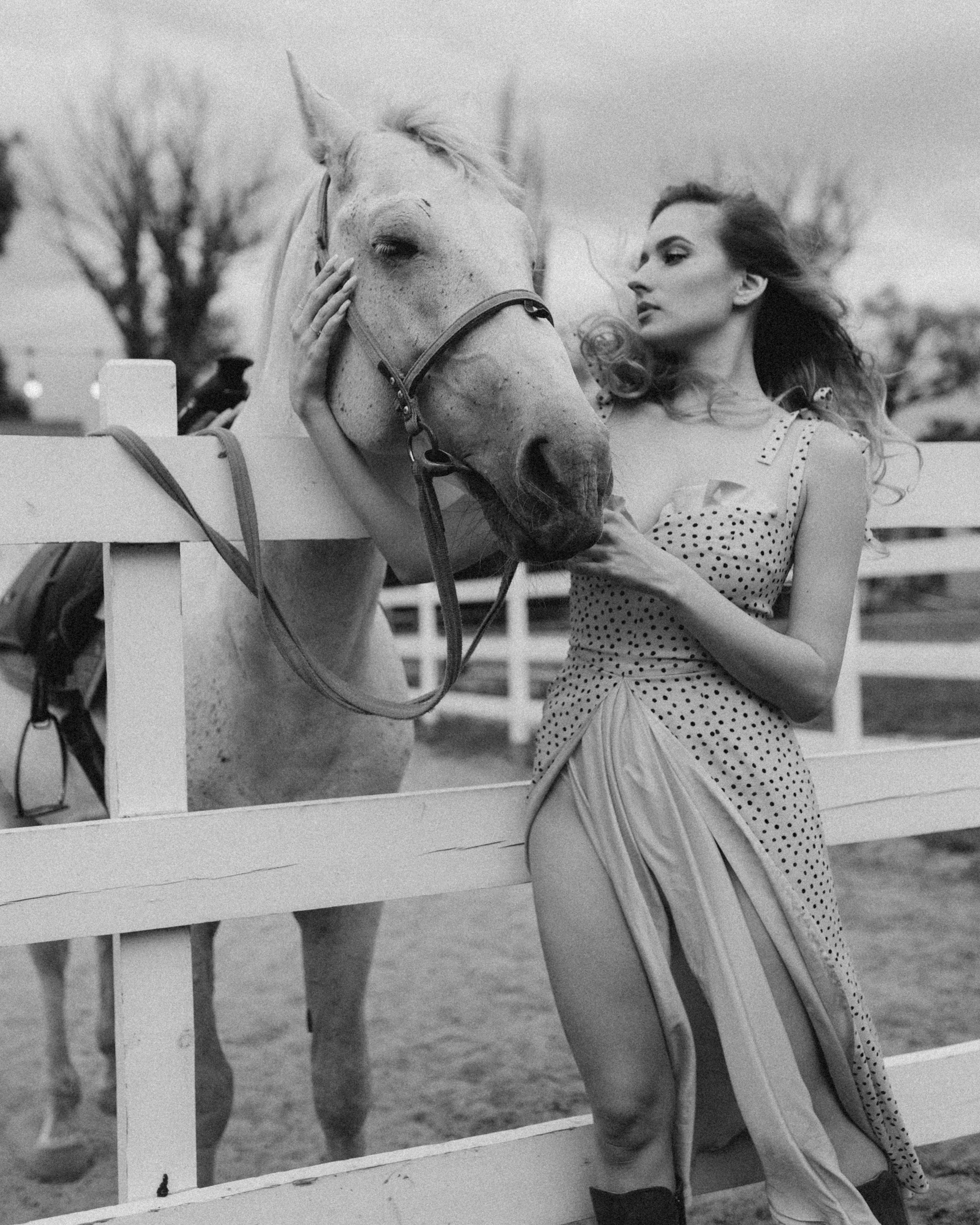 The Equine Muse. Фотограф в Алматы Анастасия Новоселова