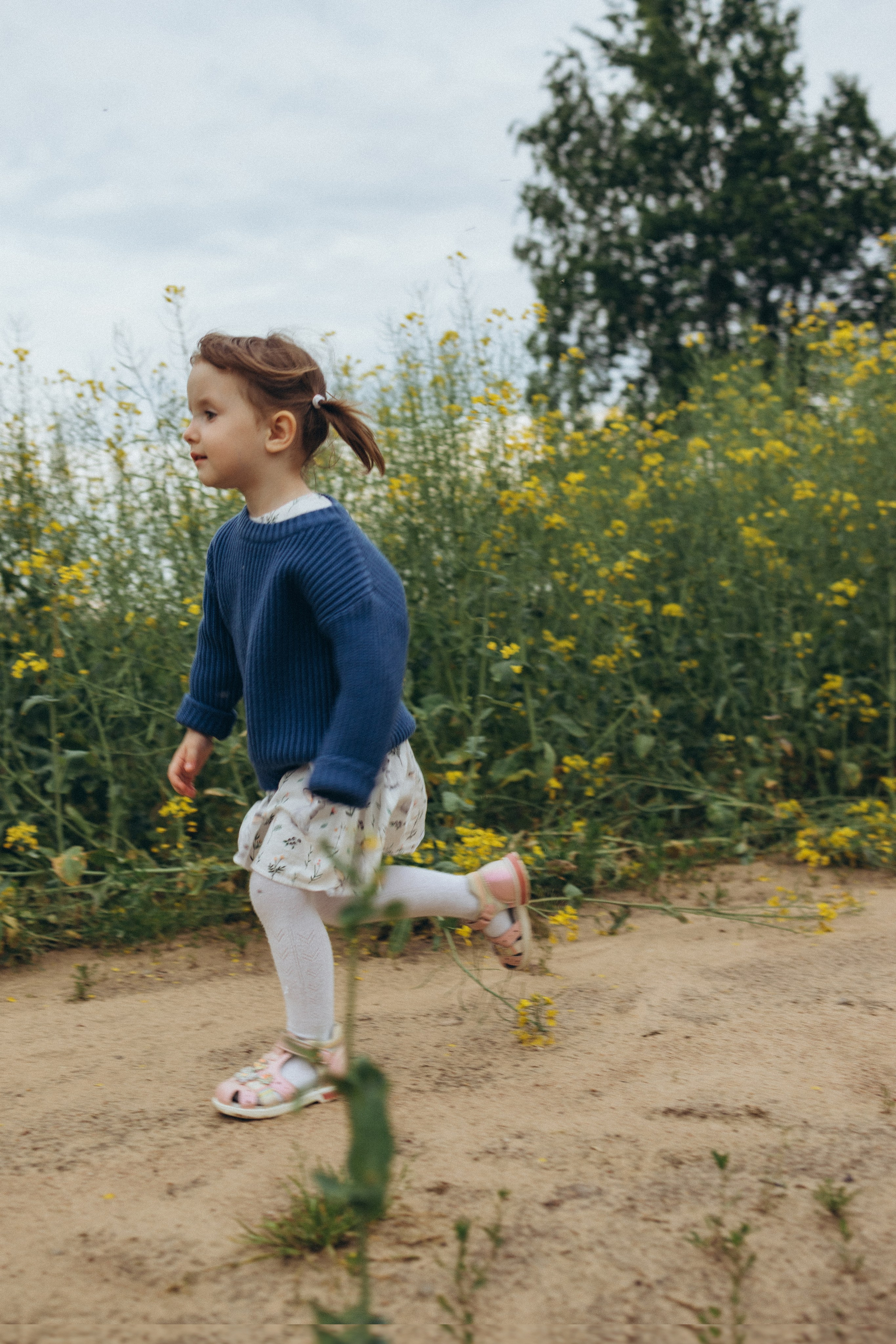 После дождя. Фотограф Елена Рябцева