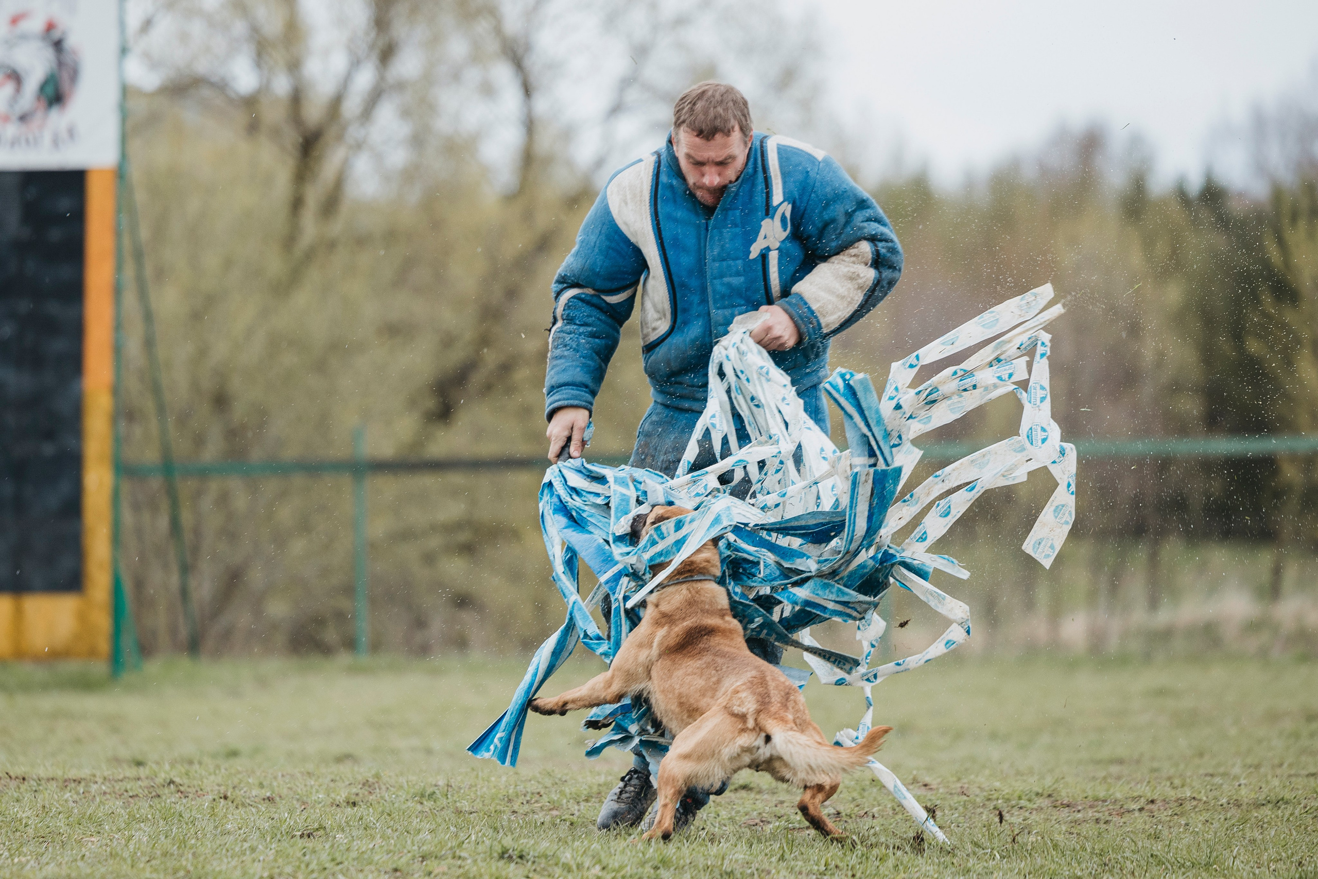 09.05.25 Вологда соревнования. Фотограф-анималист Анна Маринич
