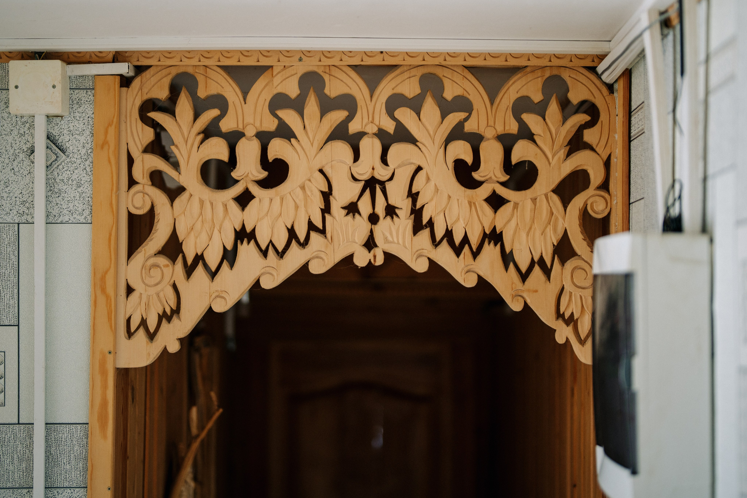 Сюжет № 5|Лев Владимирович Крашенинников