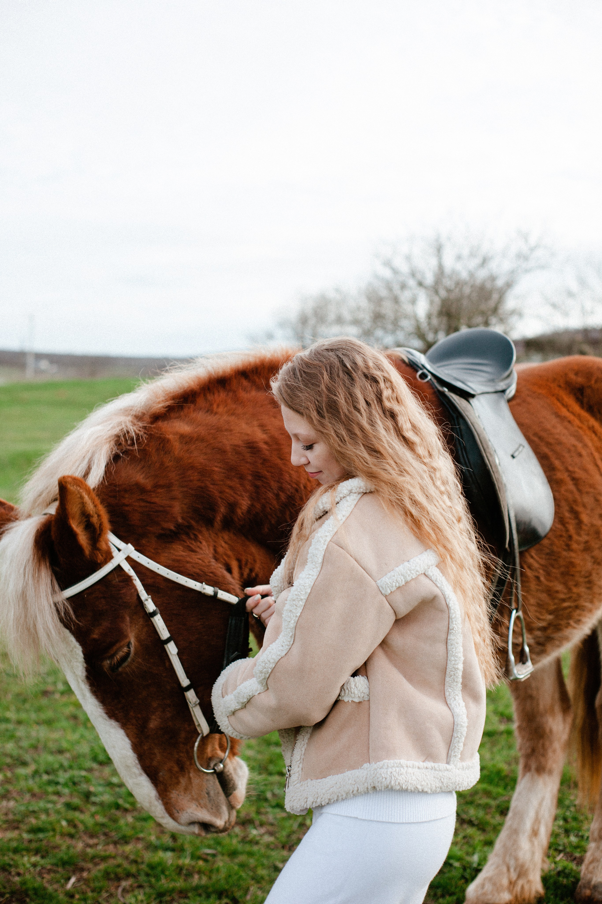 Лошадка. Фотограф Алёна Сергеевна Aloha_chë
