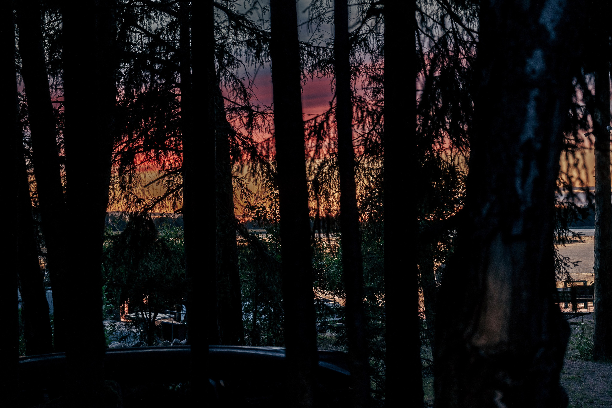 Фотосессия в лесу. Профессиональный фотограф в Санкт-Петербурге Александр Волосенцев