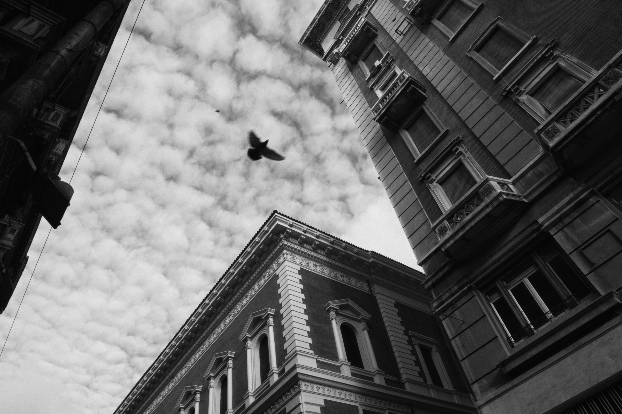 Alexandria / Egypt AW25. Фотограф Юрин Евгений