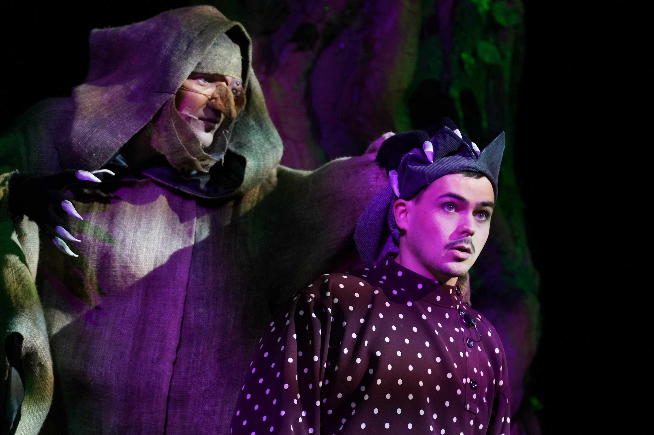 Аленький Цветочек (НЭТ). Maxon Magnusson