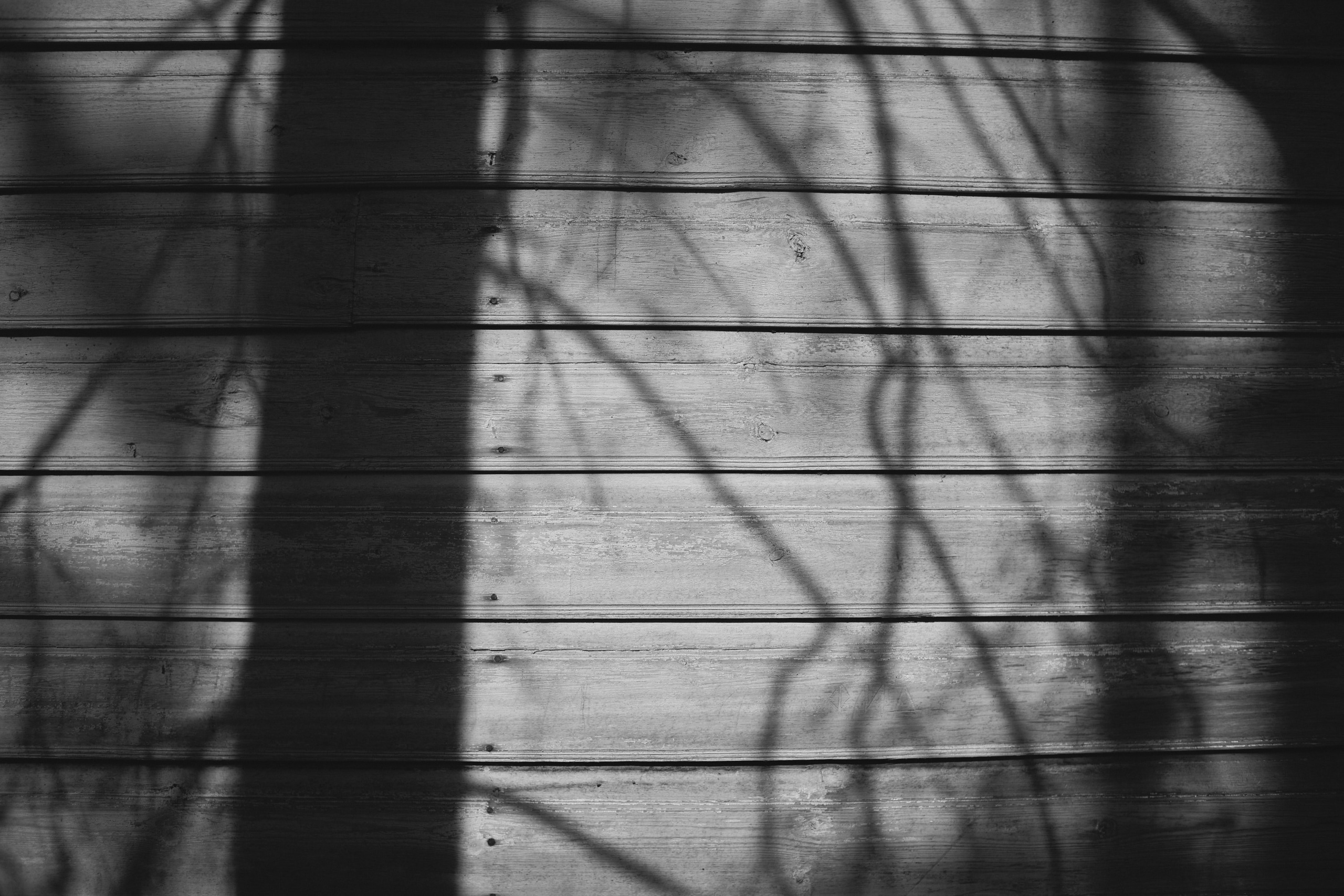 Русский север: путешествие по Карелии, Архангельской и Вологодской областям