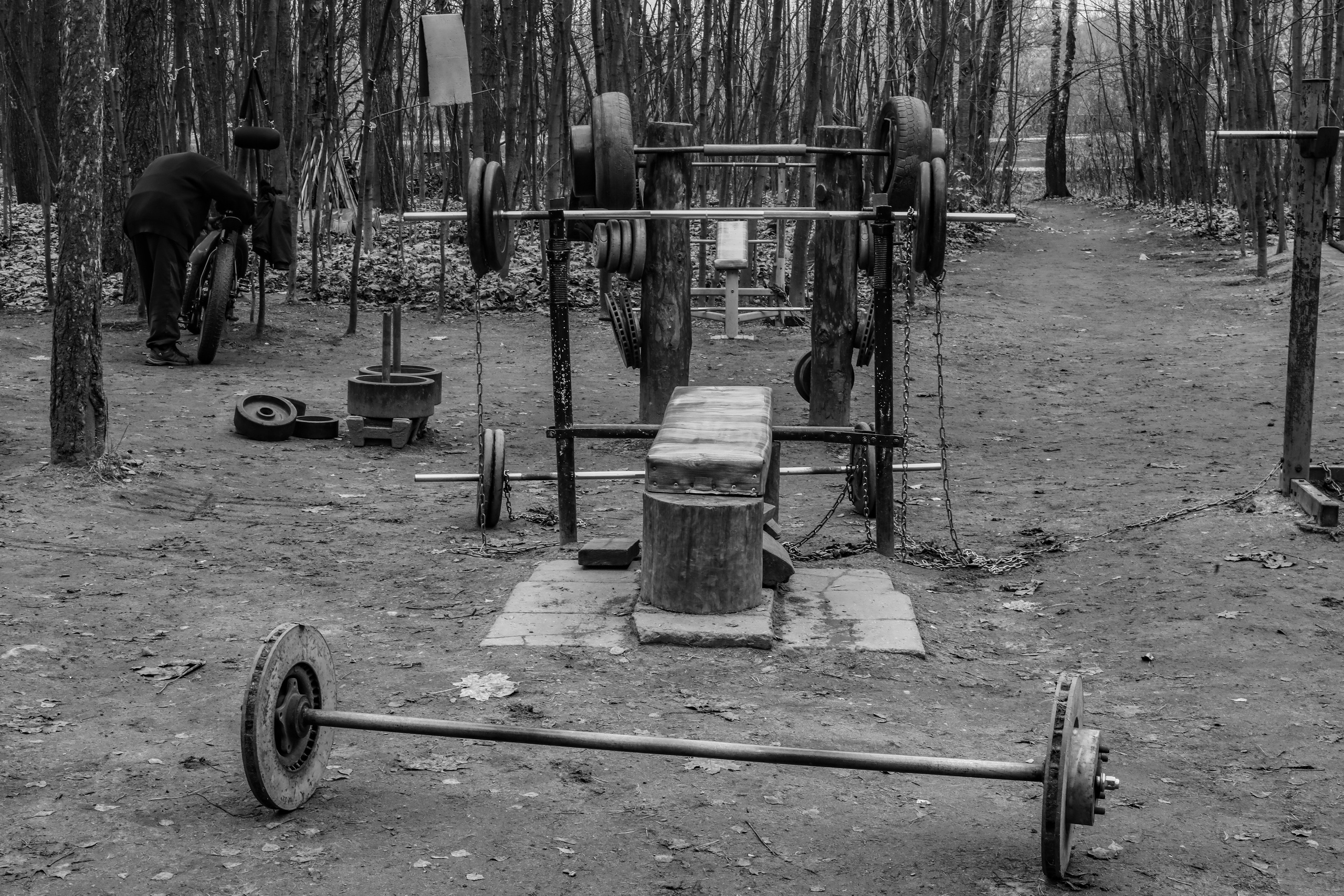 Качалка в лесу — 2022. Стас Привалов