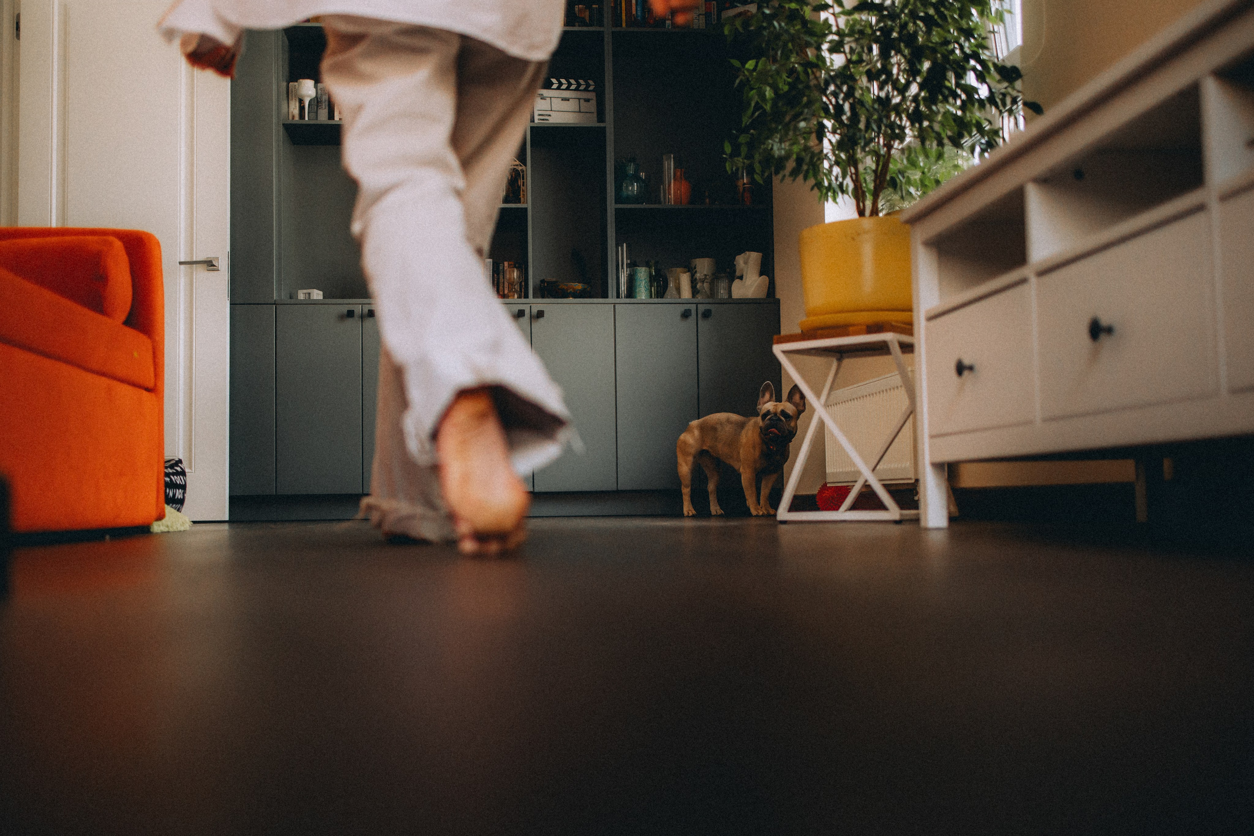 Юля, Мия и Зек