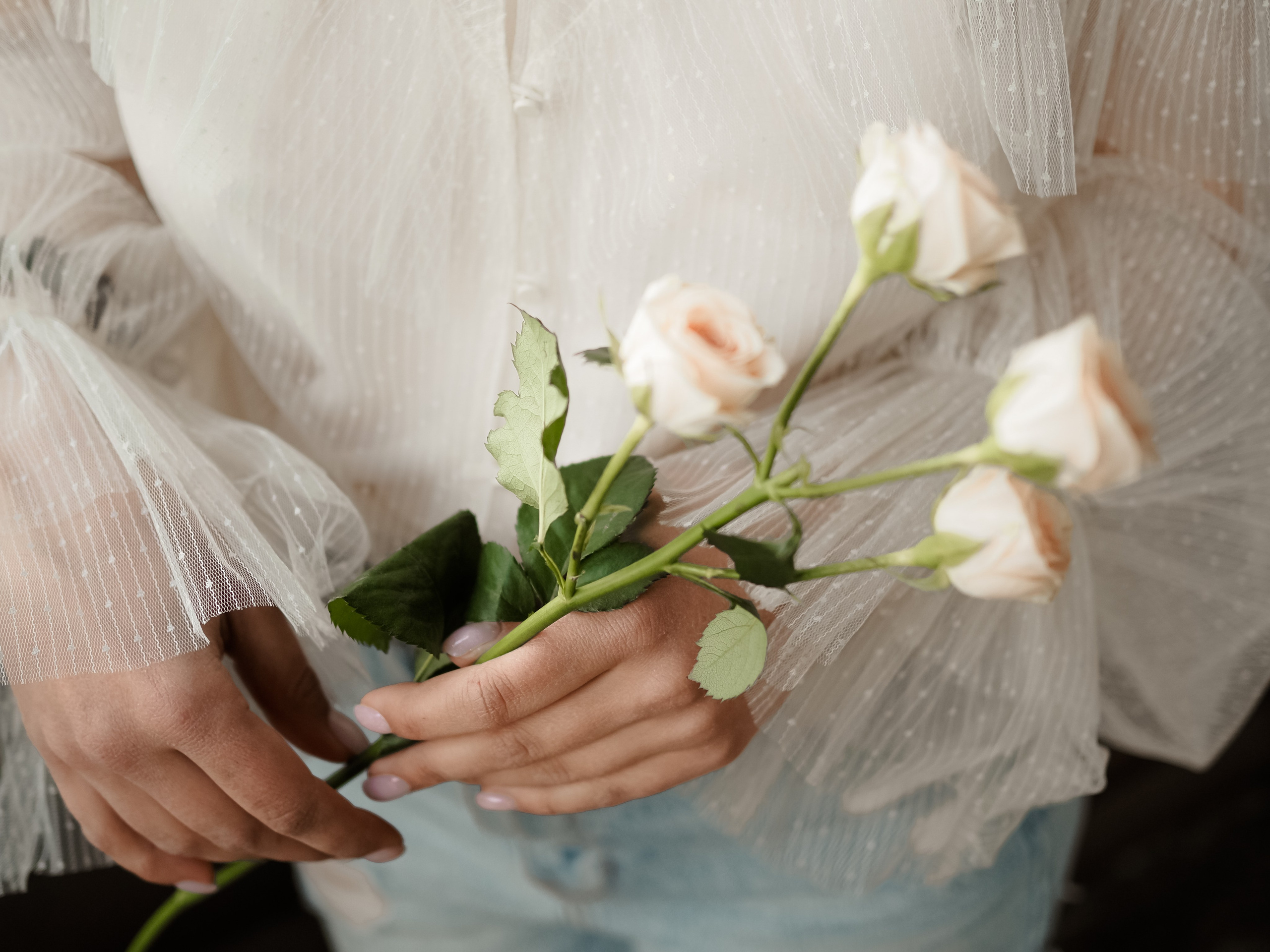 История. Фотограф Рязань. Семейный Свадебный фотограф